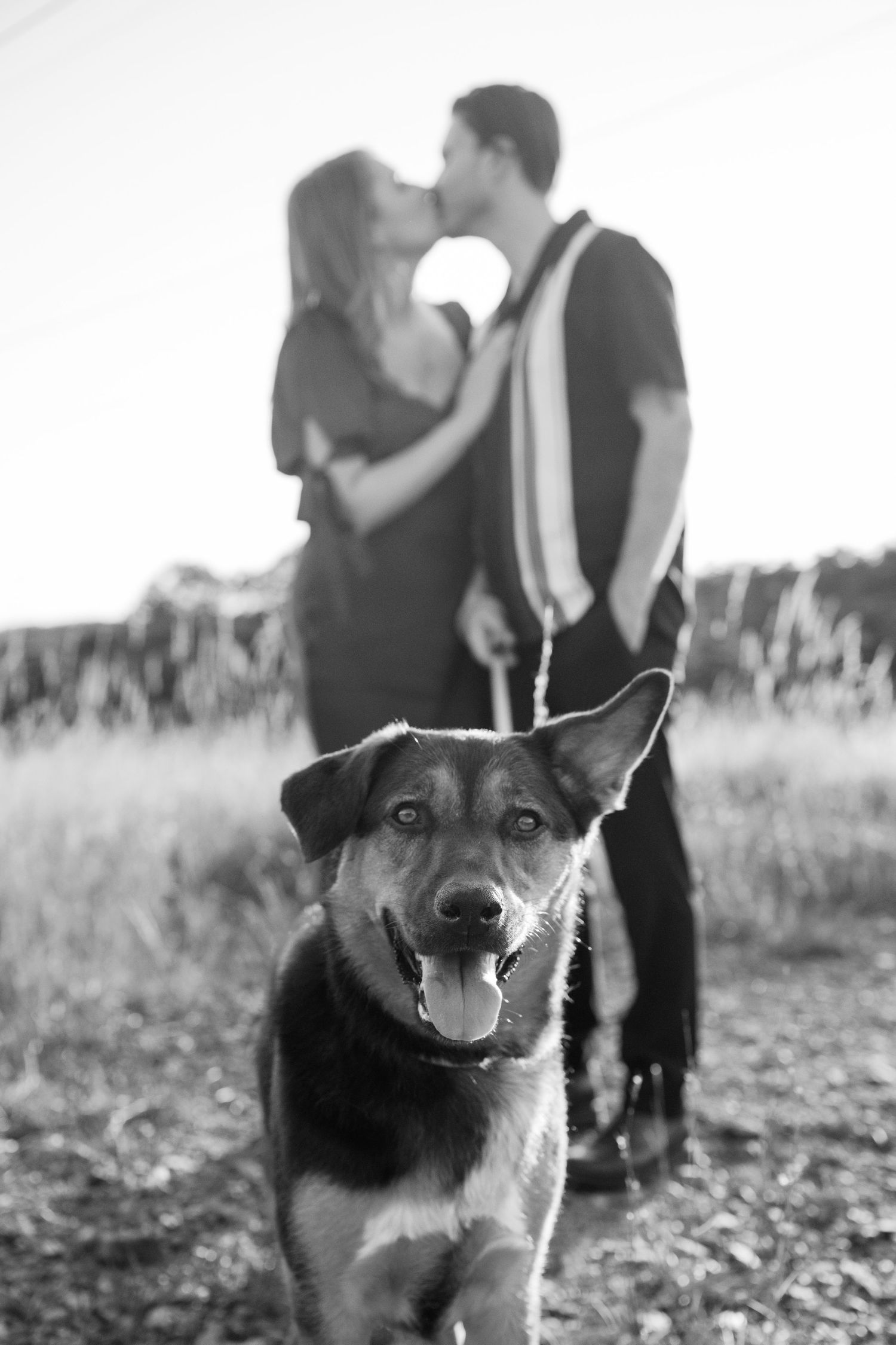 A happy dog smiles at the camera while a couple shares a romantic moment in a black and white outdoor photo.