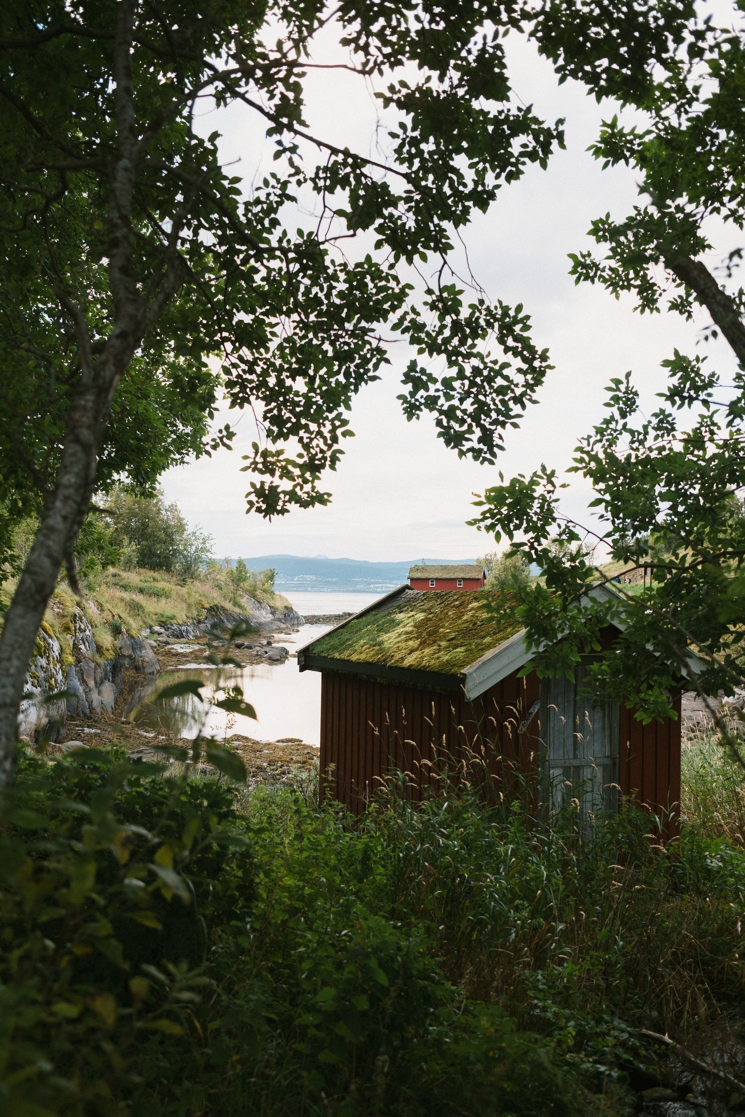 Rustic red cabin overlooking rocky coastline through trees and foliage.