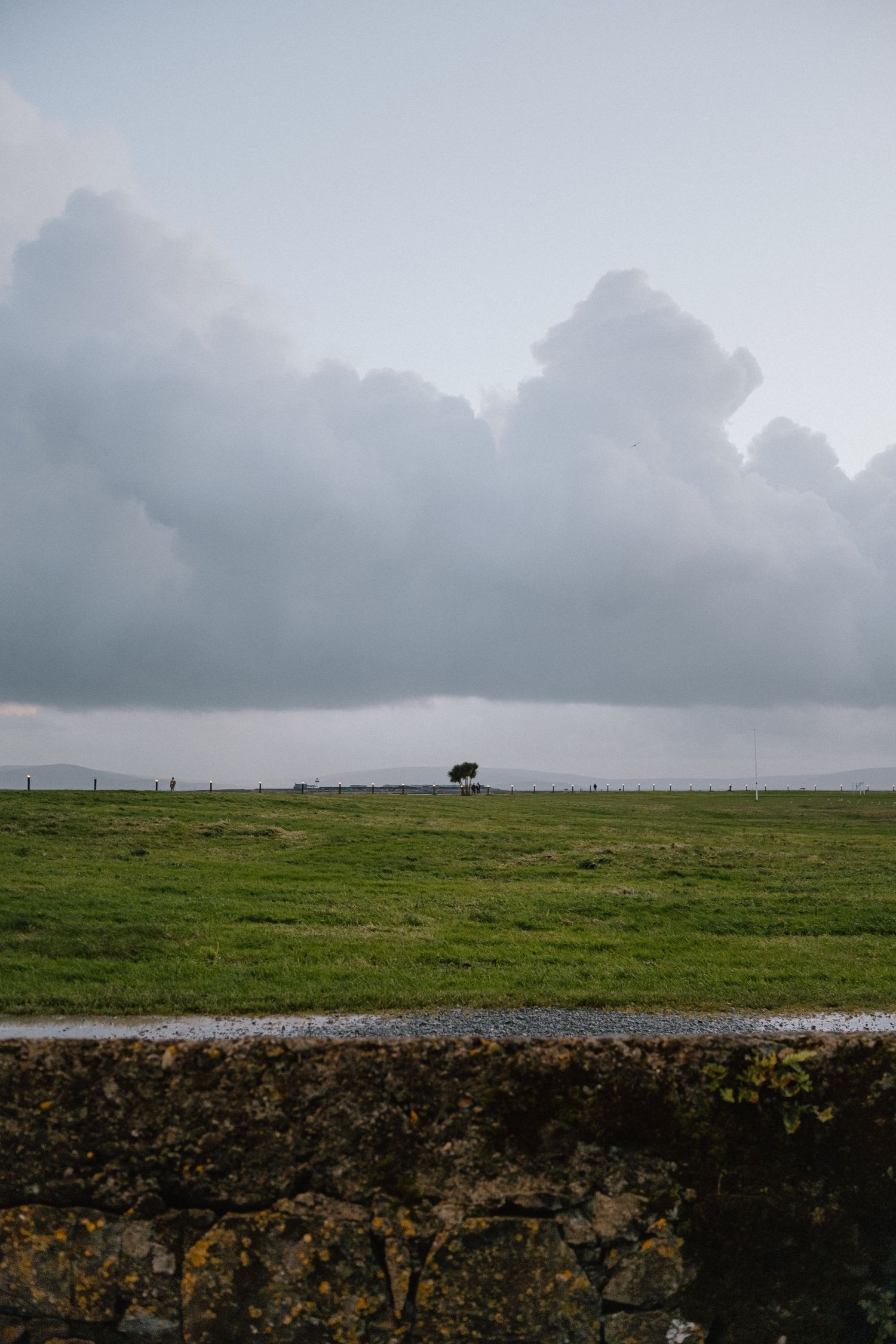 Lone tree stands on a green field under dramatic cloudy skies.