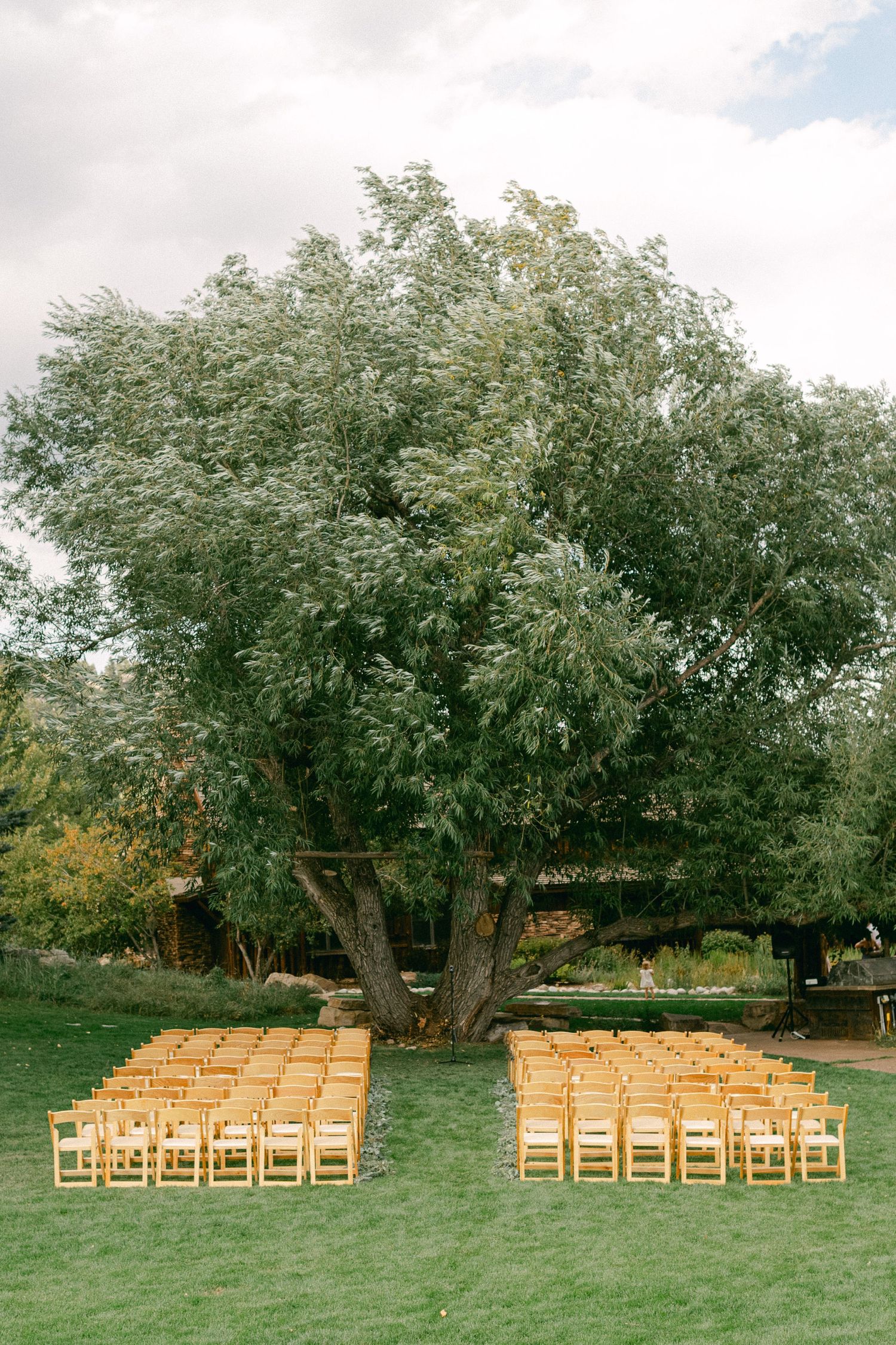Rows of wooden folding chairs set up beneath a large tree for an outdoor wedding ceremony.