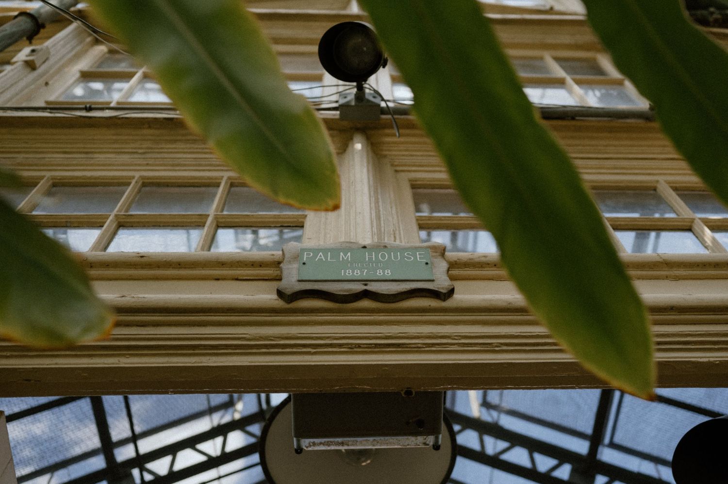 An ornate vintage chandelier hangs from a greenhouse ceiling framed by green leaves.