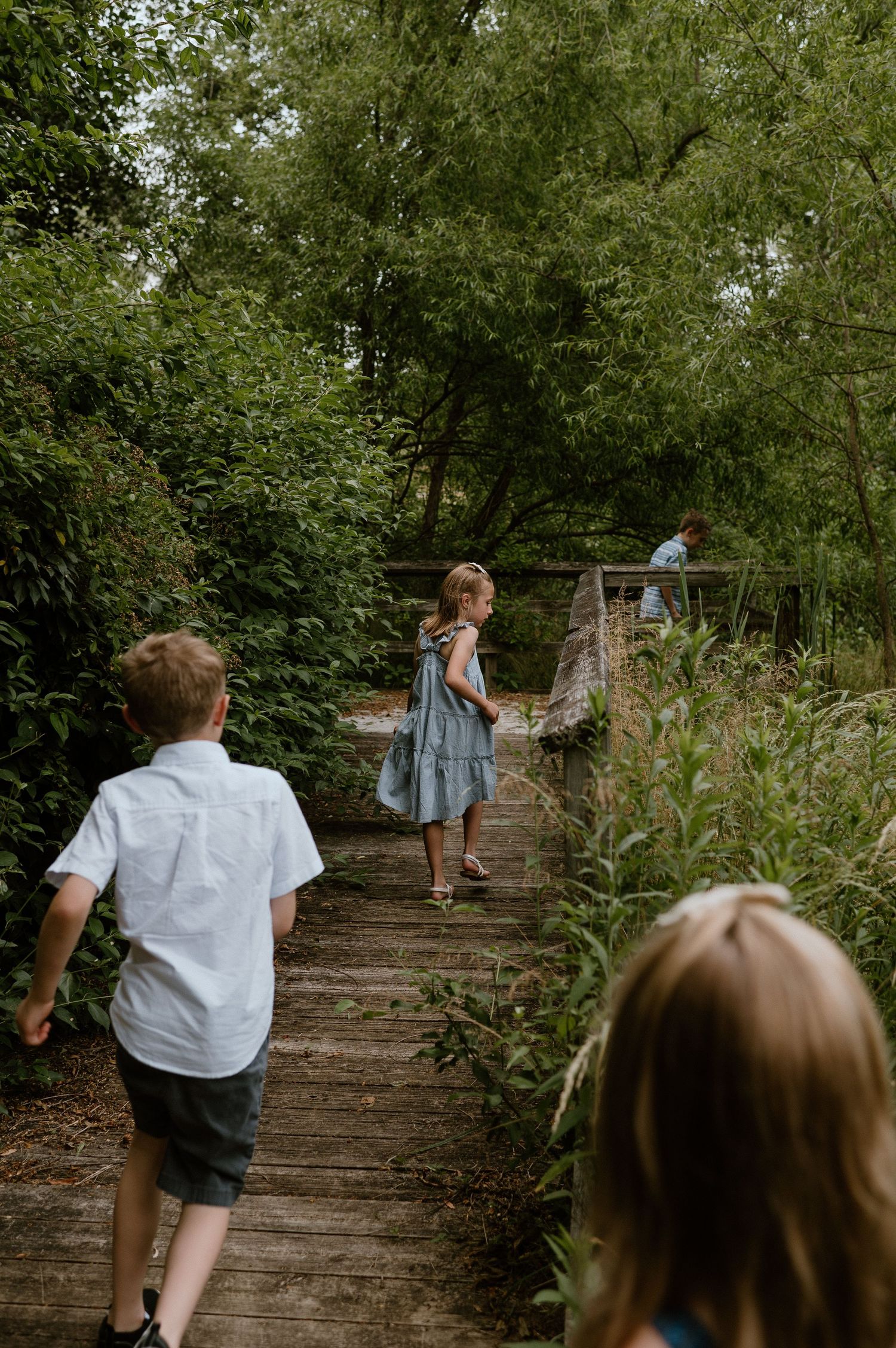 Children walking along a wooden boardwalk path surrounded by lush green foliage on a summer day.