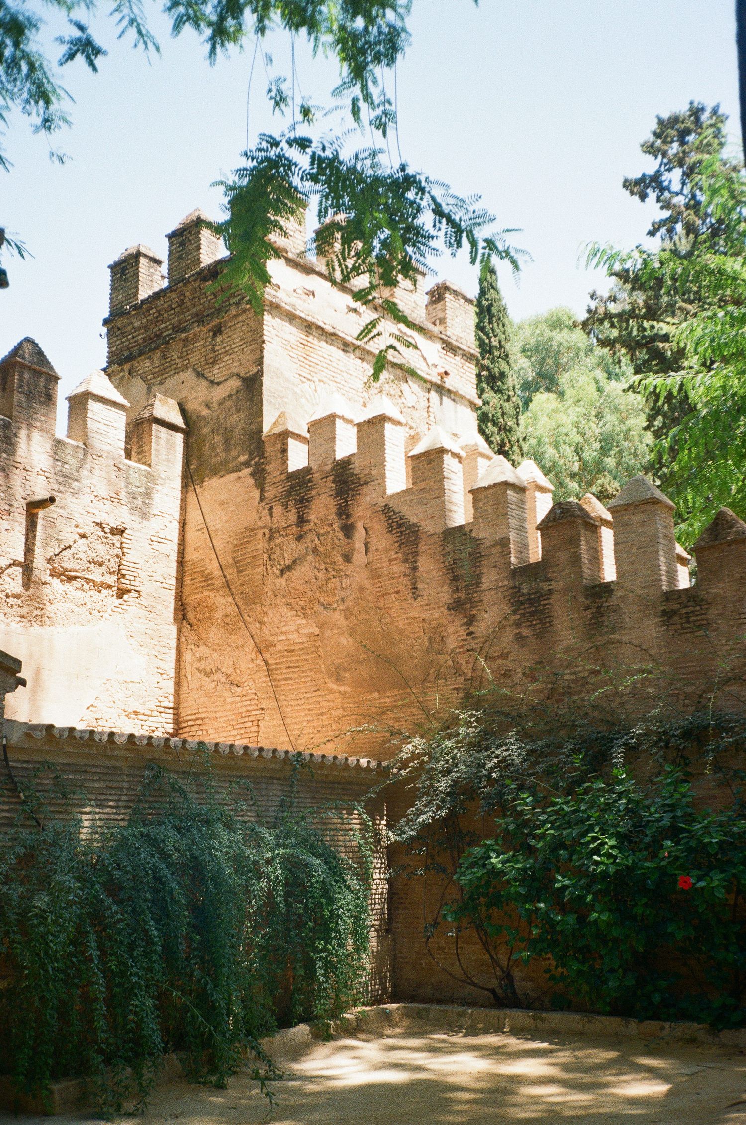 Medieval castle fortification wall with crenellations surrounded by lush vegetation.