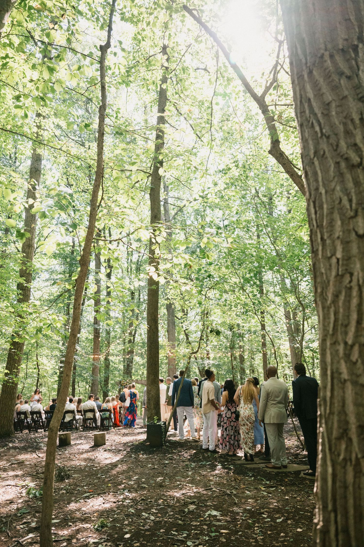 guests move to sit in ceremony space among the trees
