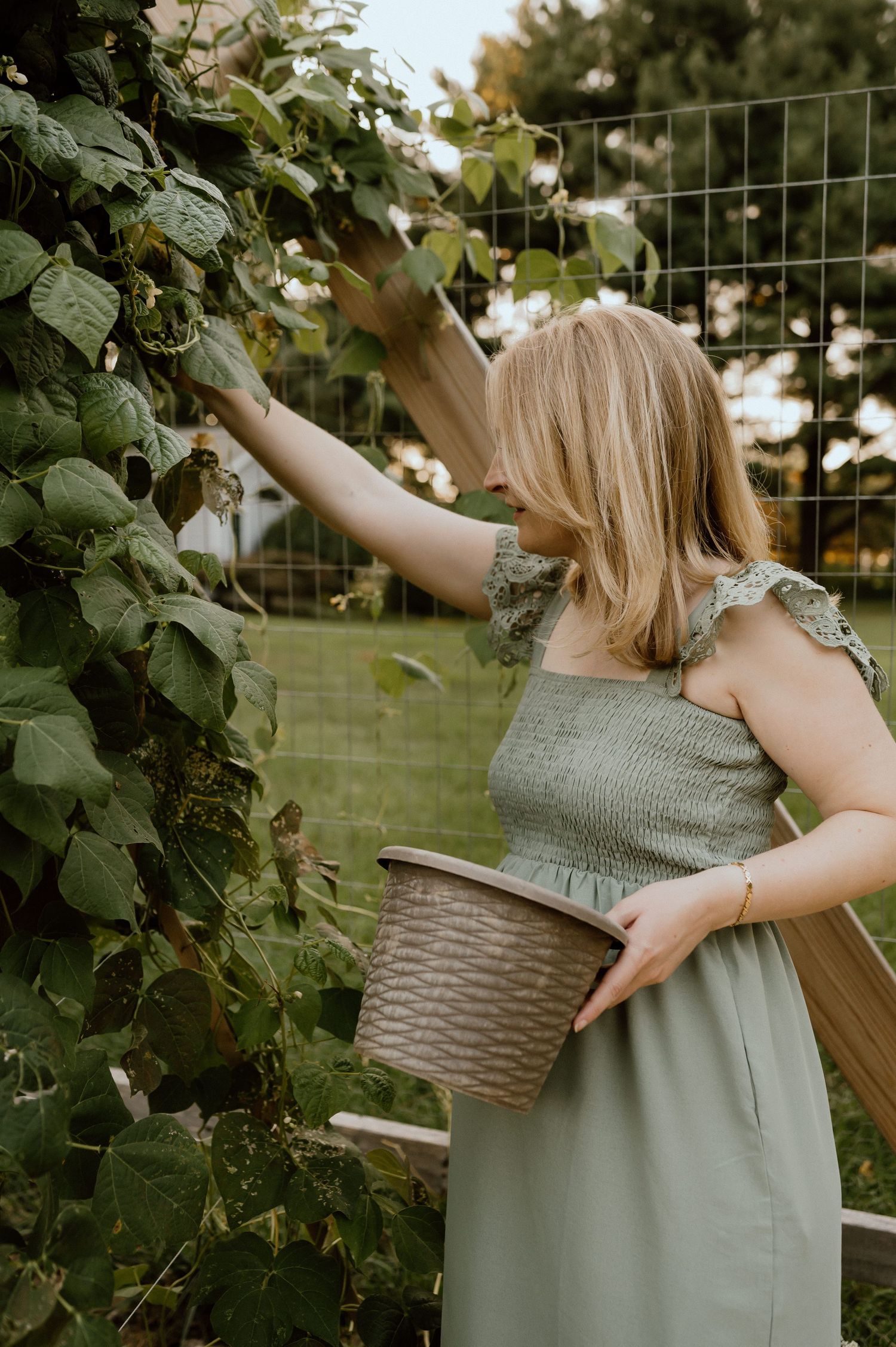 Person in sage green dress harvesting vegetables from a garden with a woven basket.