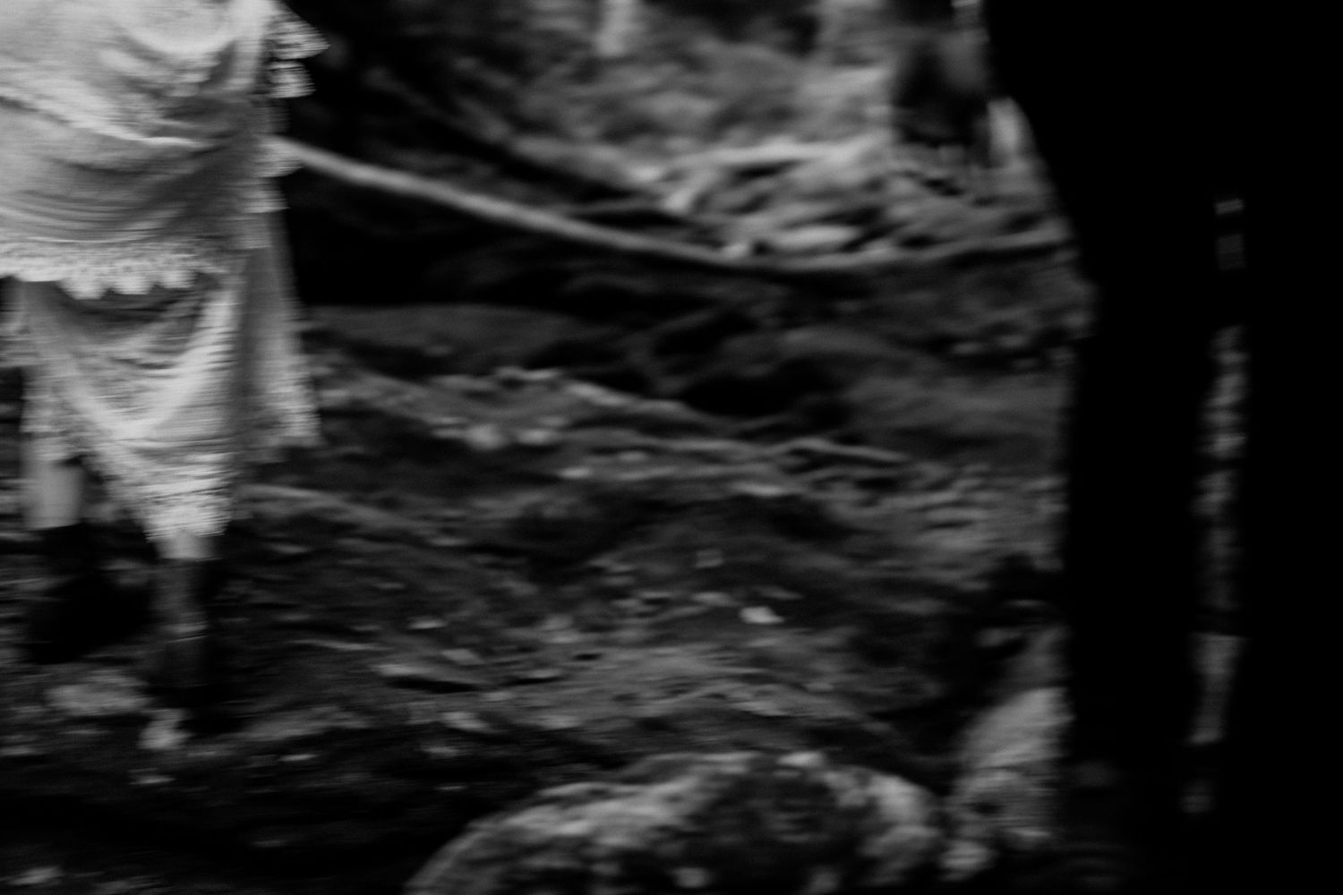 An abstract black and white photograph showing movement in nature.