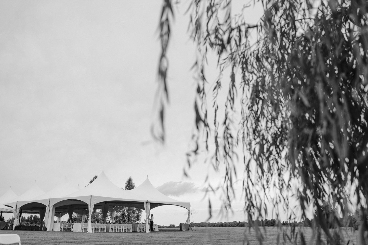 black and white photo of wedding tent for backyard wedding reception