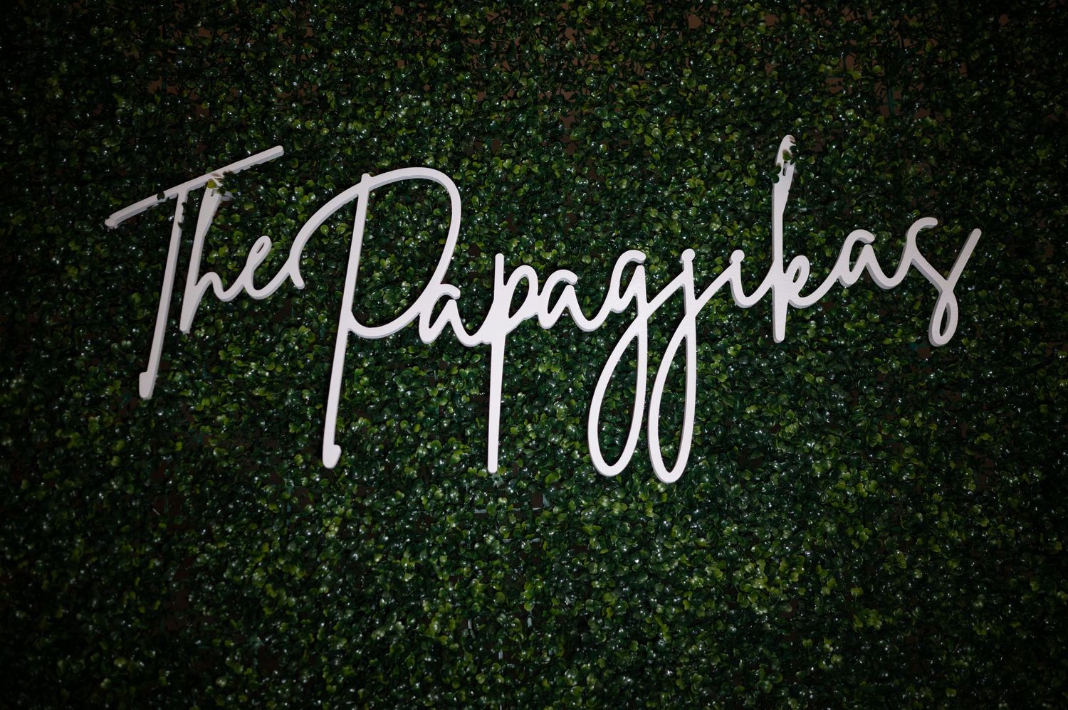Illuminated script text reading 'The Papagayas' mounted on a green hedge wall.