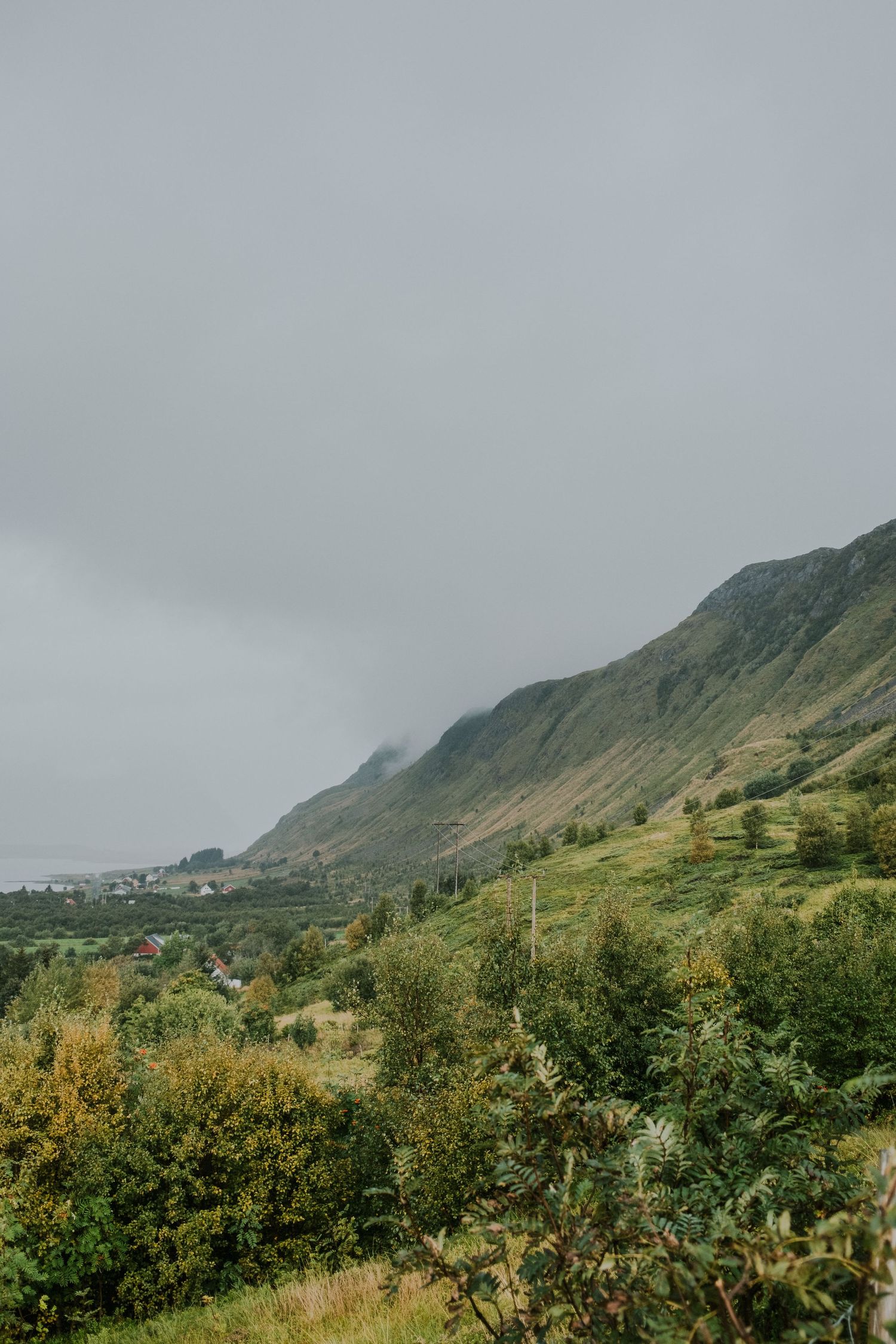 Lush green hillside slopes down to a coastal town under moody grey skies.