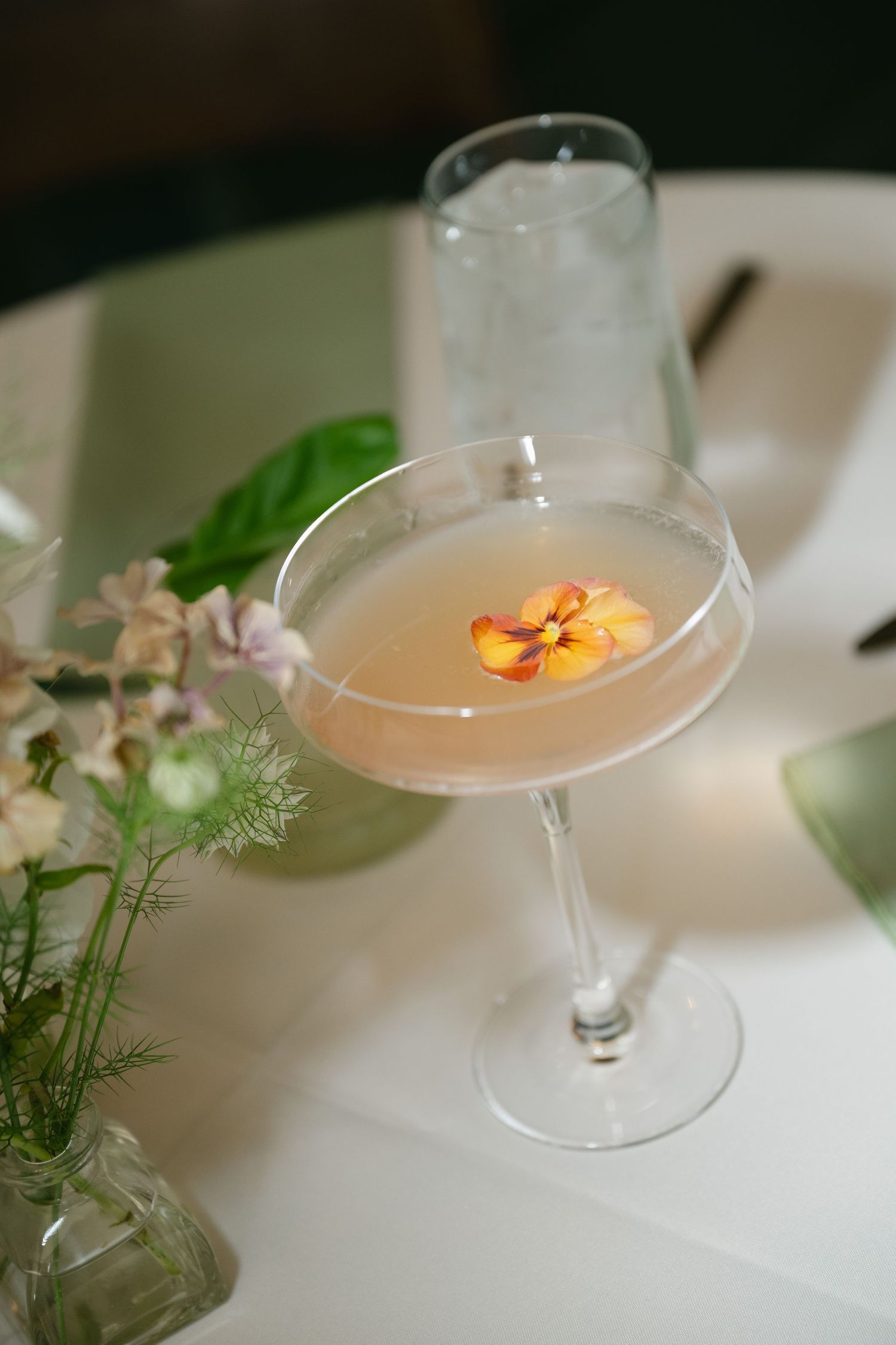 Elegant cocktail garnished with an edible flower petal served in a coupe glass beside fresh herbs.