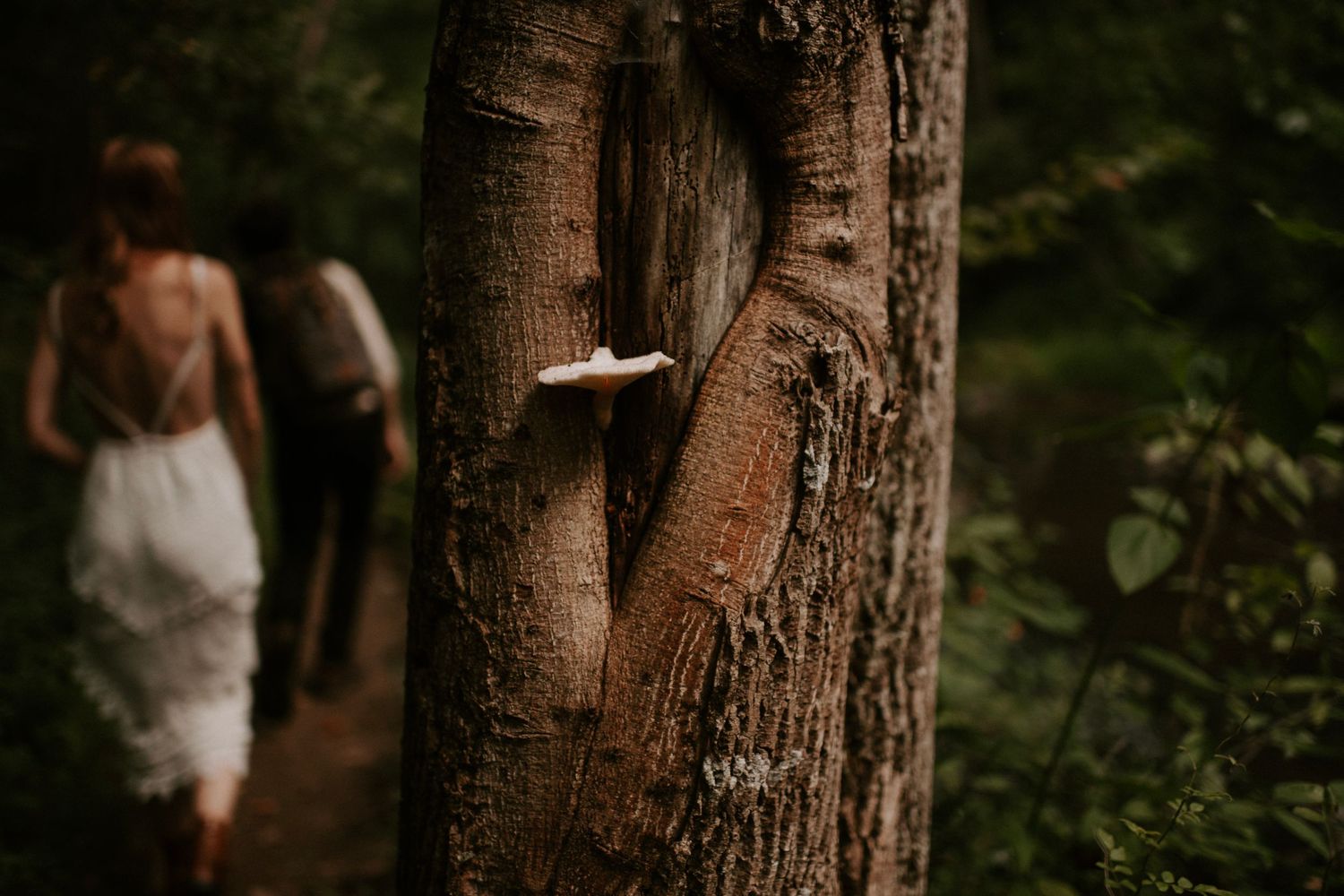 A couple walks through a forest path with a white dress visible in the distance.