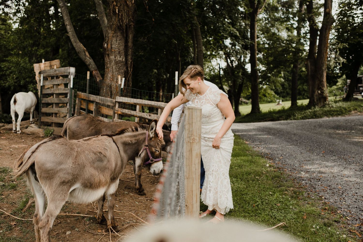 A couple poses near donkeys on a rustic farm path.