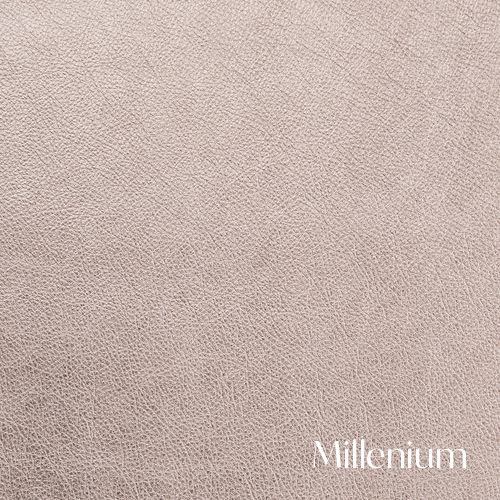 Millennium labeled metallic surface with soft beige texture.