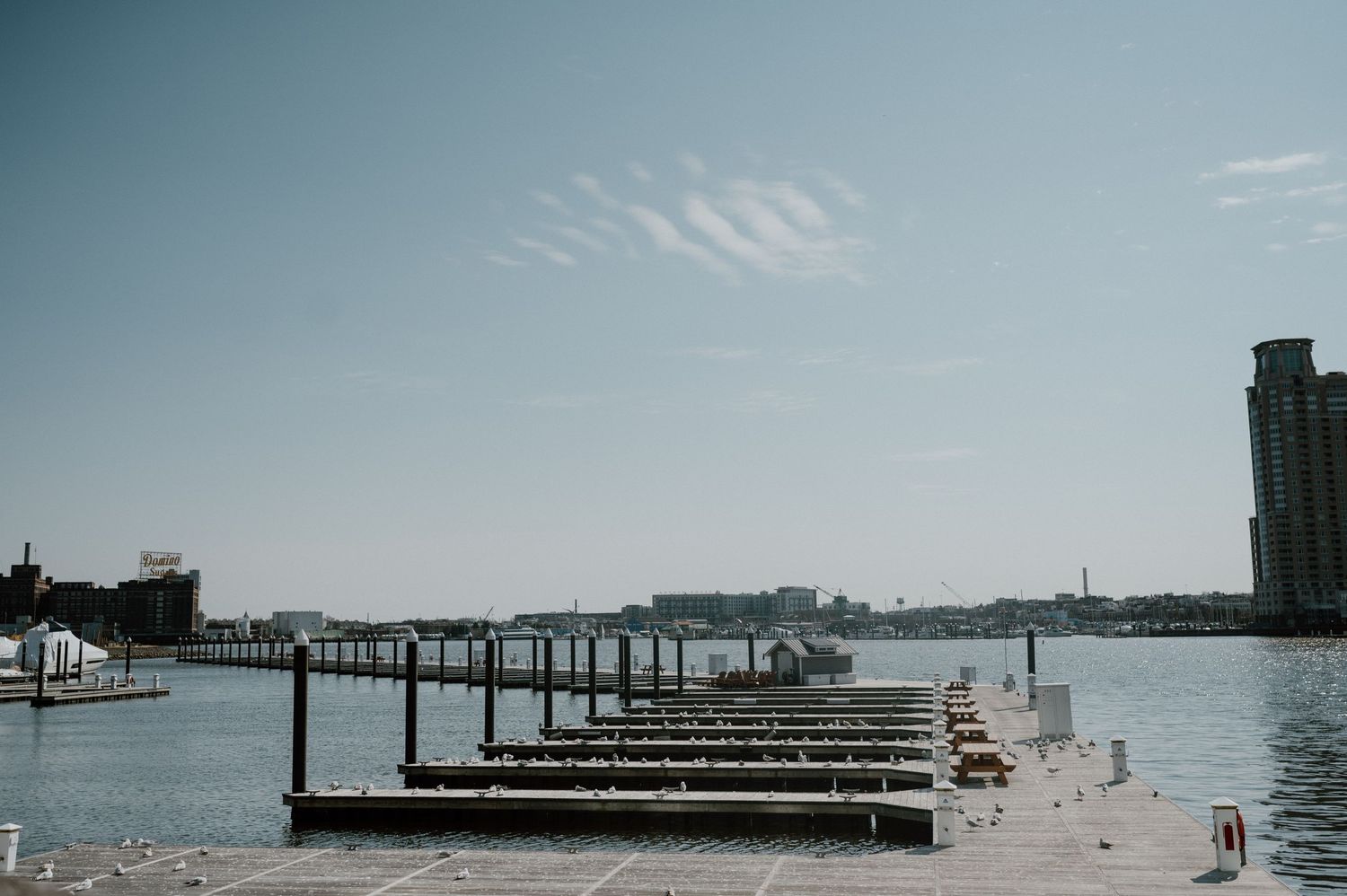 Wooden pier and dock extending into calm waterfront with city skyline in background.