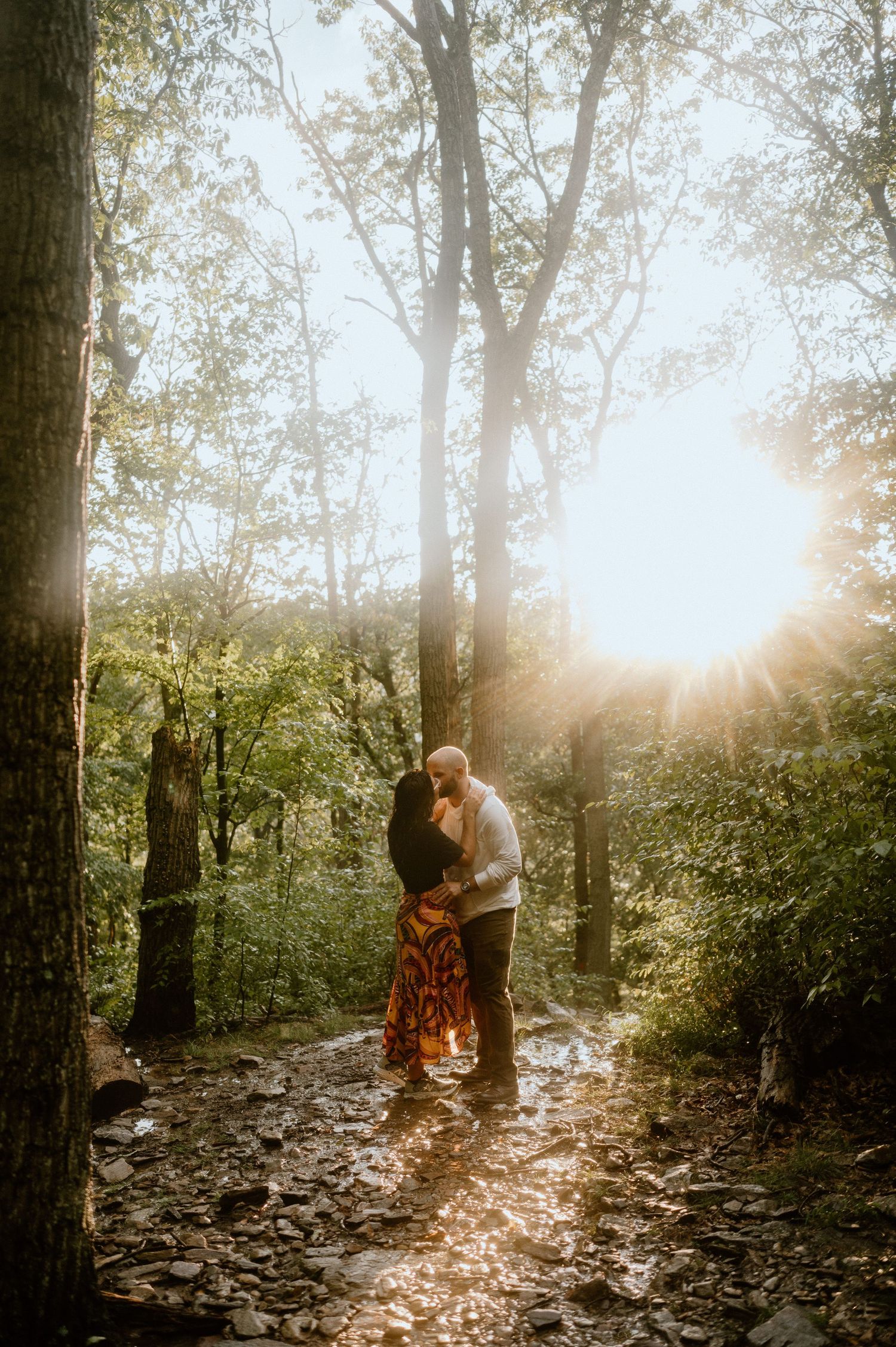 Sunlit forest scene with couple embracing on wooded trail.
