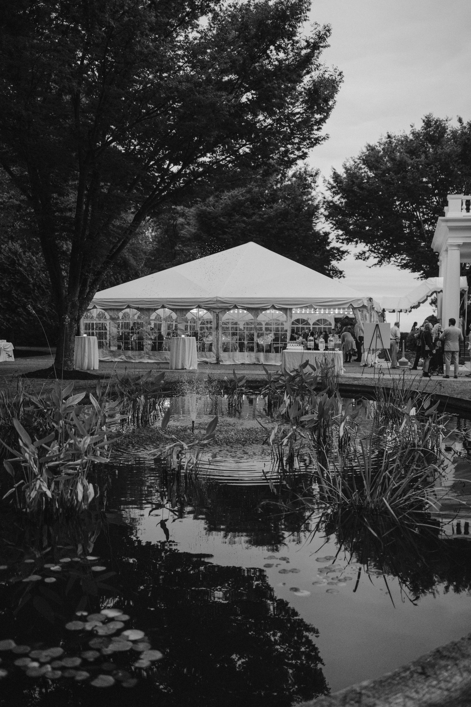 Black and white photo of wedding tent reflected in pond with lily pads.