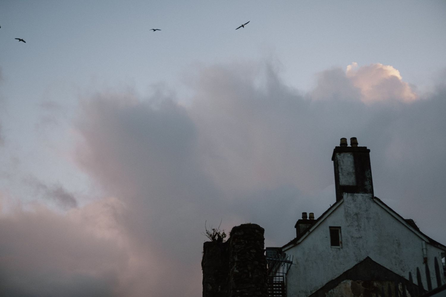 Silhouette of white house with chimney against dusky sky with seabirds.