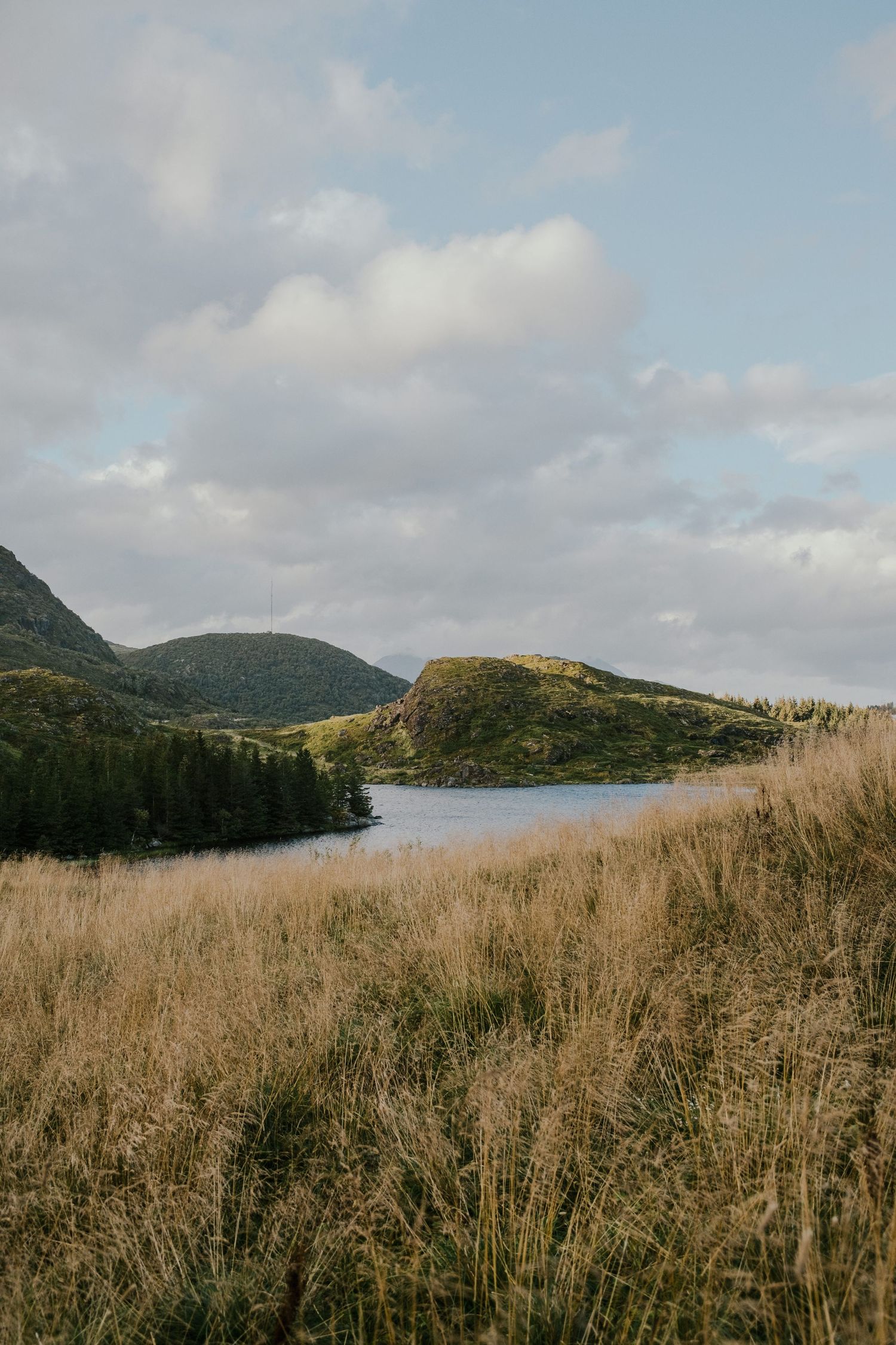 Tranquil lake nestled between green mountains with tall grass in the foreground.