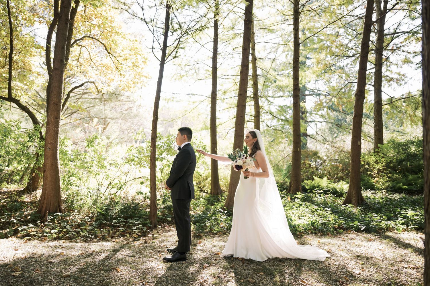 Panoramic view of a wedding couple walking through a sunlit wooded area.