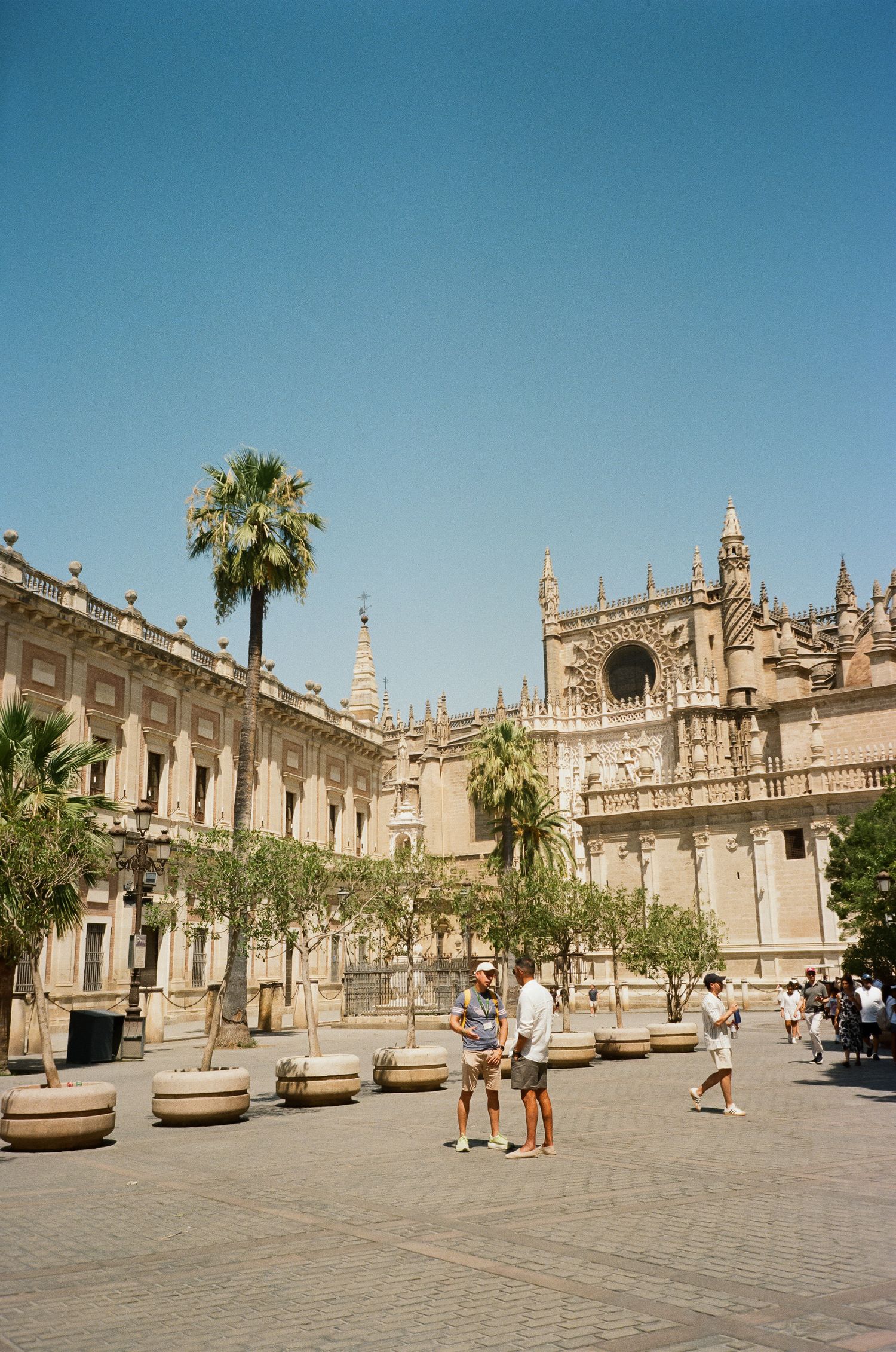 Historic Spanish cathedral plaza with ornate architecture and palm trees under bright blue sky.
