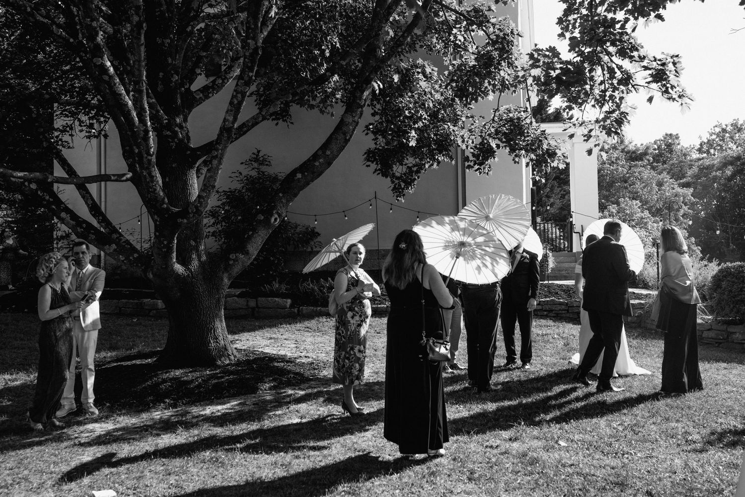 A group gathers under a shady tree for an outdoor event on a sunny day.