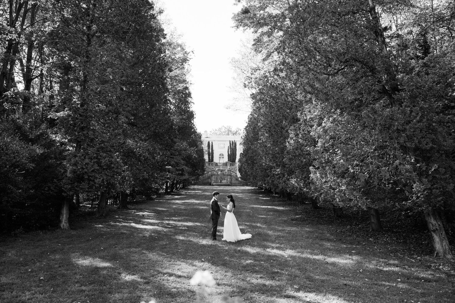 Tree-lined path leading to a distant building on an elegant estate.