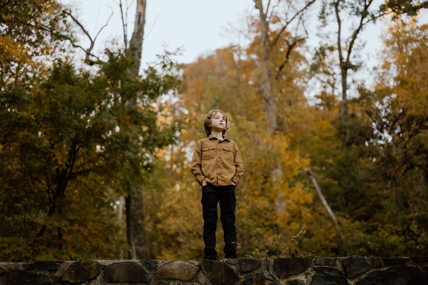 Person in brown jacket stands on rocky outcrop surrounded by golden autumn trees.