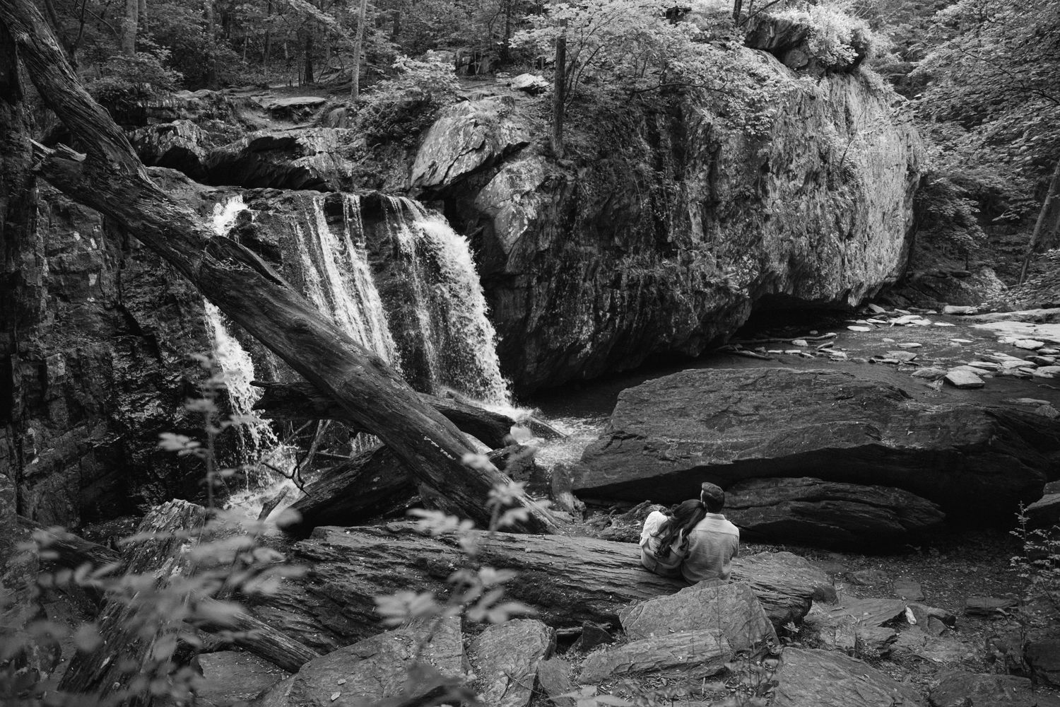A peaceful waterfall flows through mossy rocks in a secluded forest setting.
