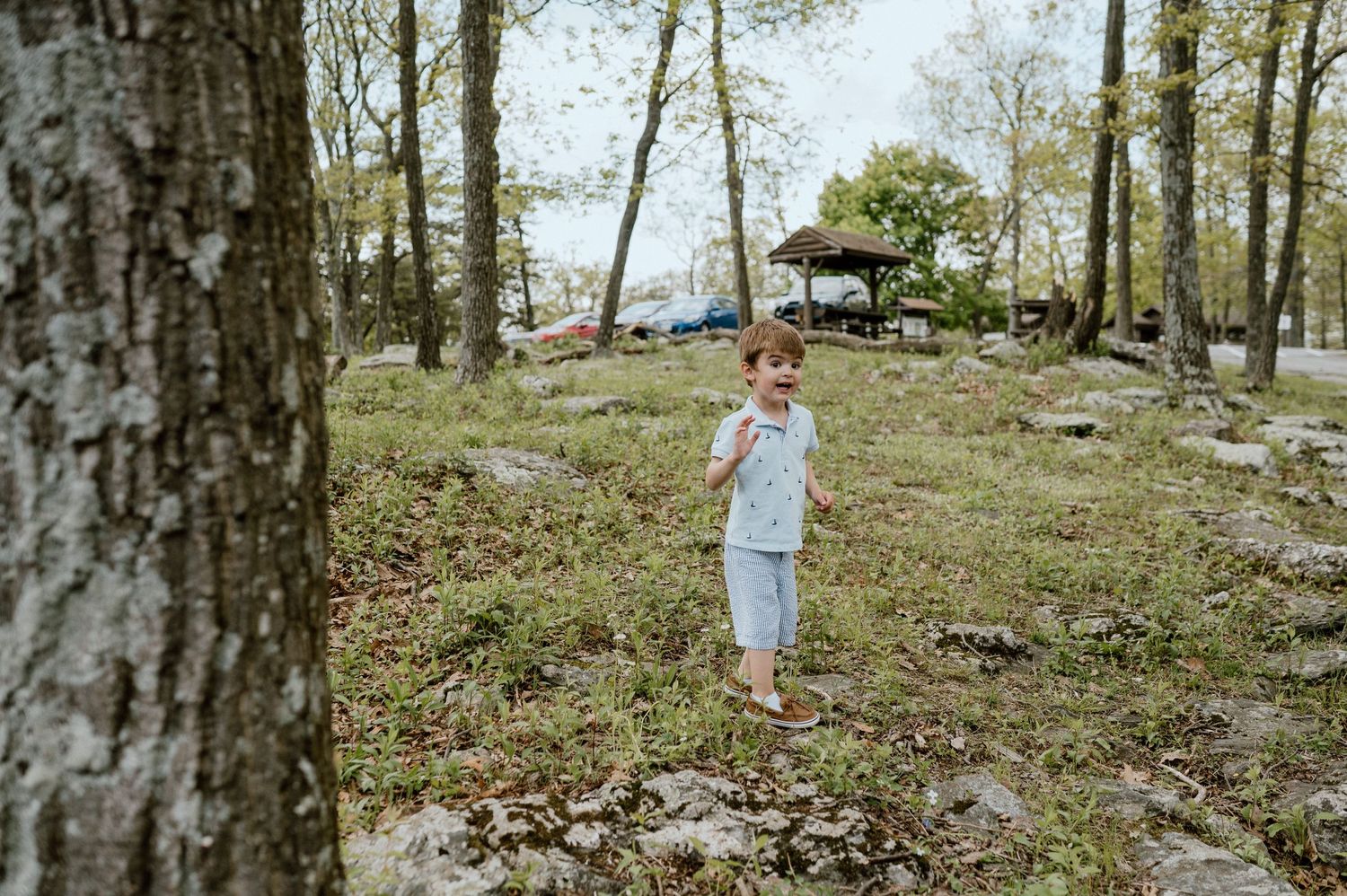 Child explores rocky woodland terrain near mountaintop overlook.