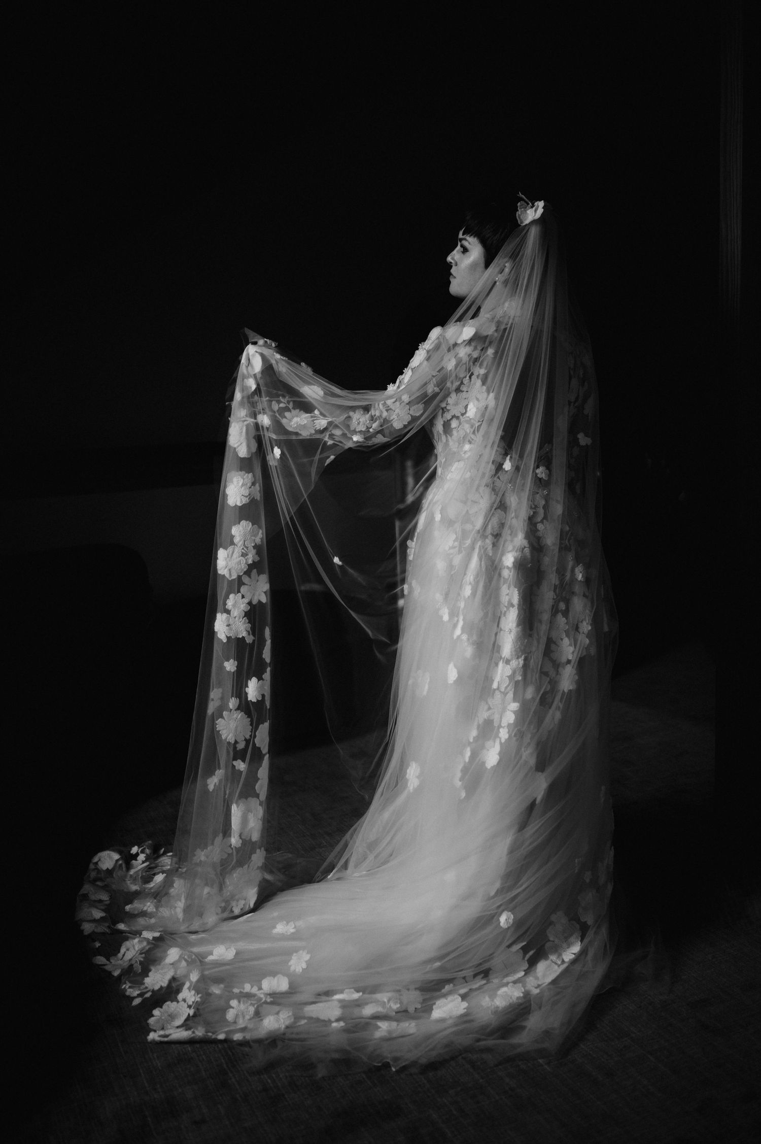Dramatic black and white portrait of delicate lace wedding veil with floral details.