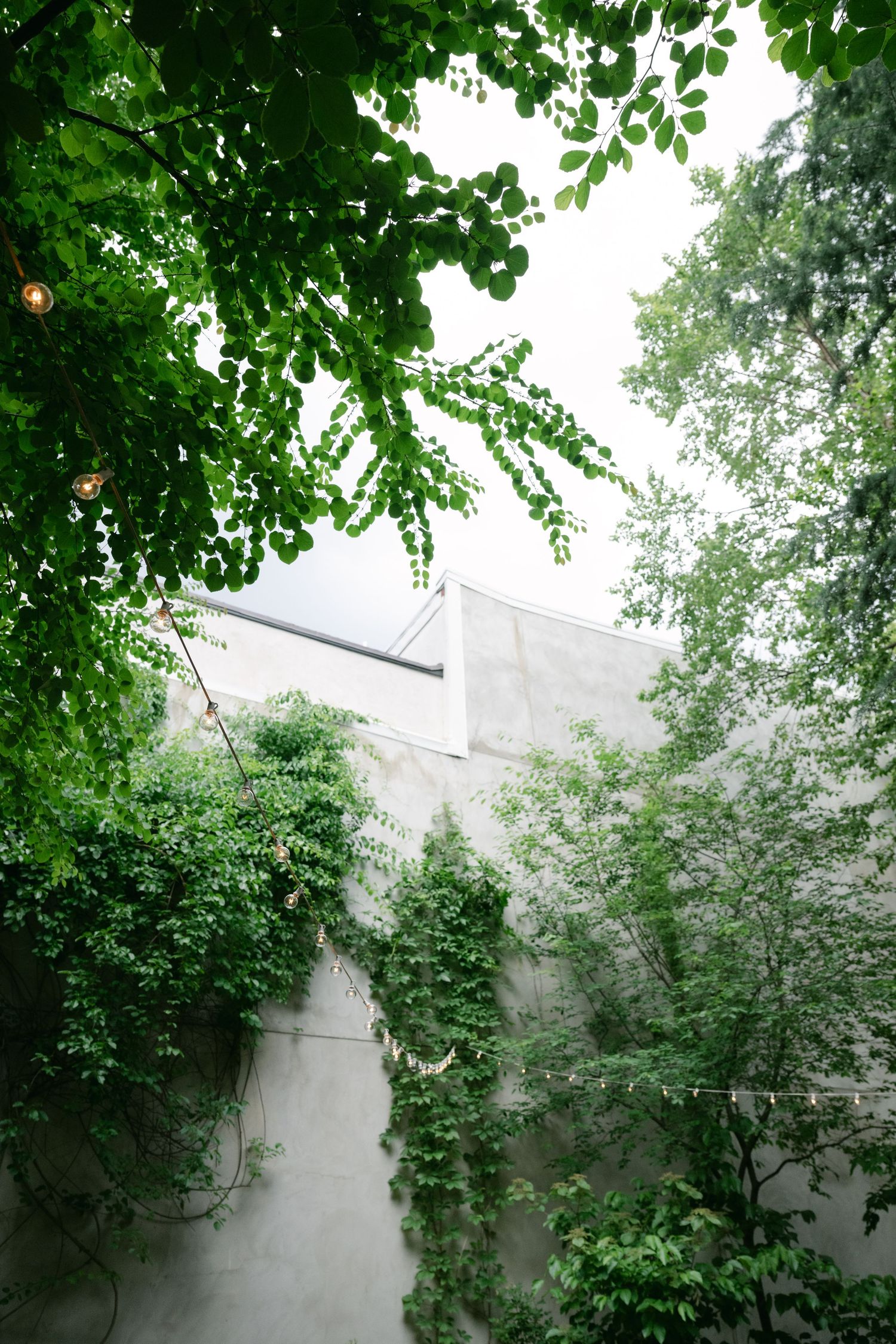 Lush green foliage frames a white architectural structure in a garden setting.