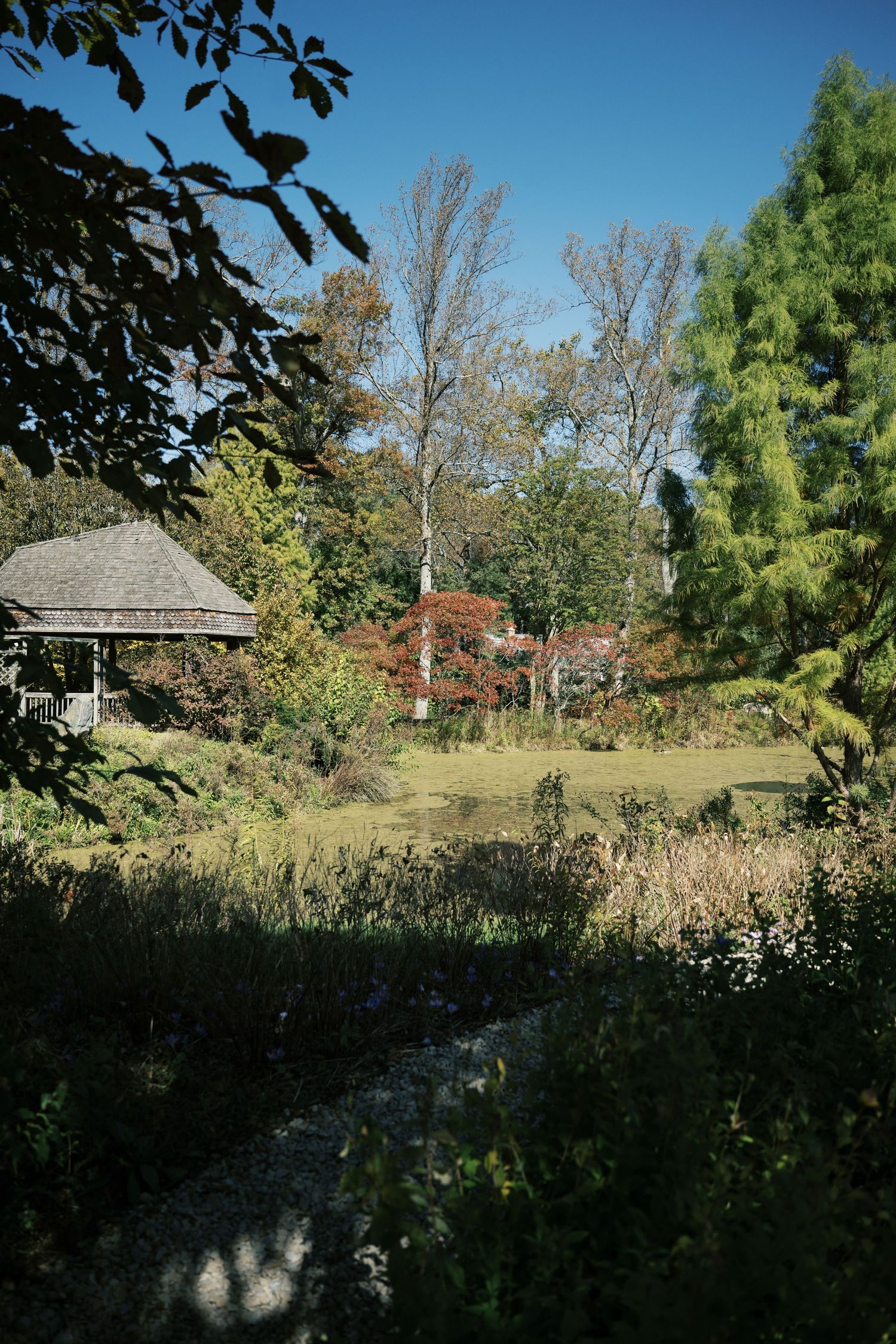 Scenic landscape view of a rural property with trees and buildings in autumn.