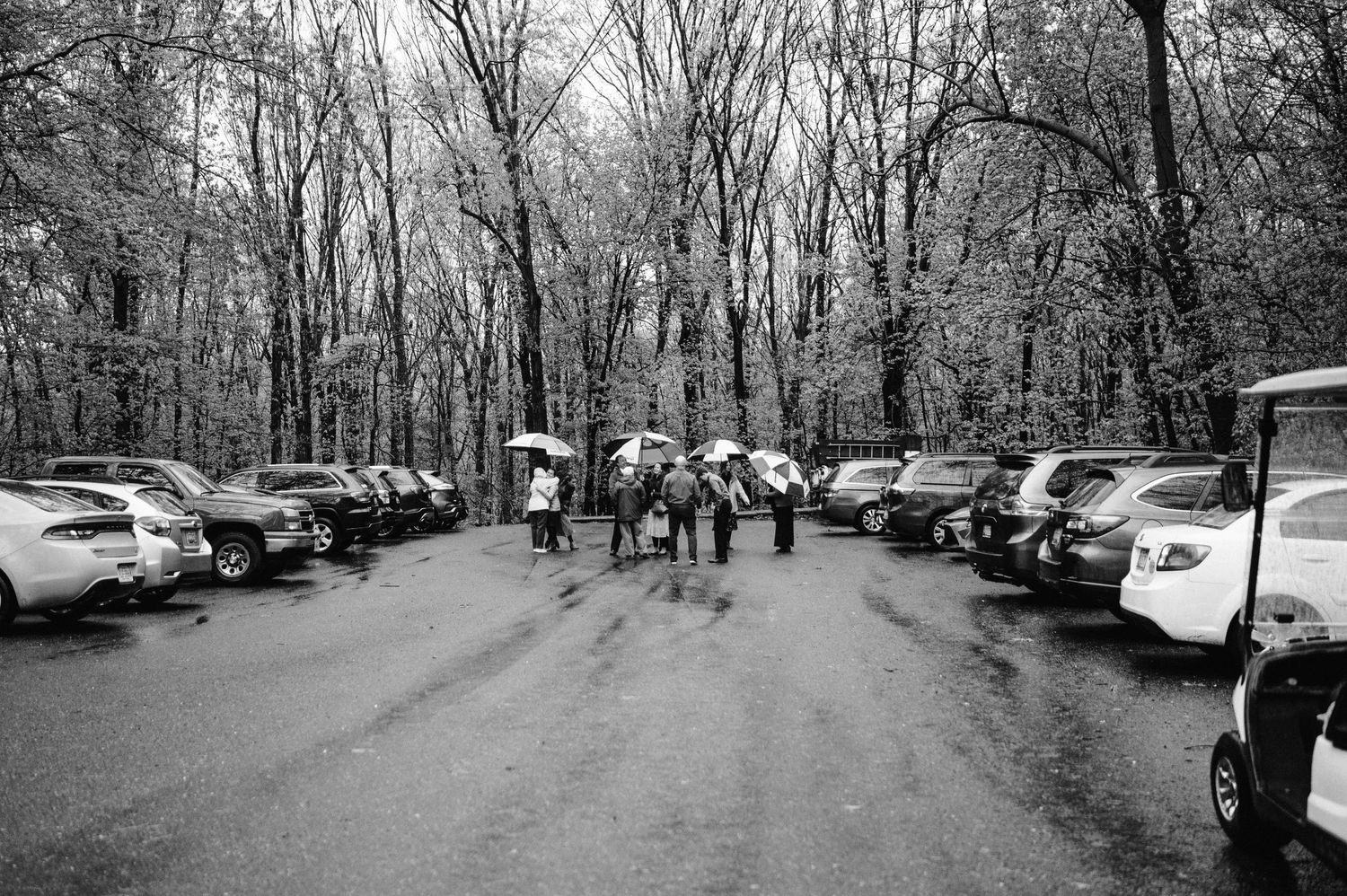 Cars parked along a wet forest path with people holding umbrellas on a rainy day.