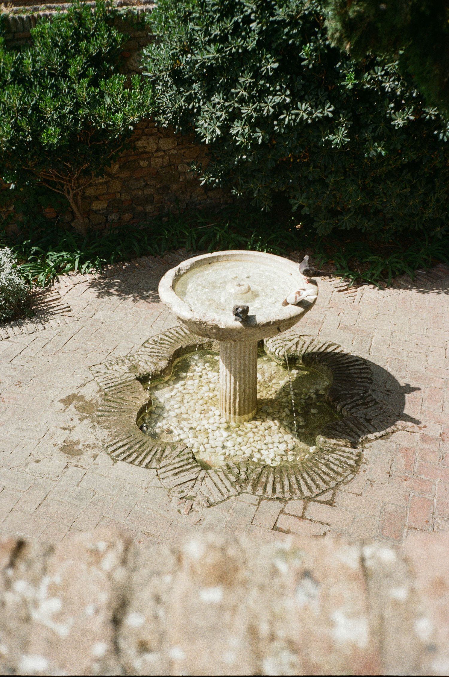 Ornate stone water fountain casting shadows on brick pavement surrounded by lush greenery.
