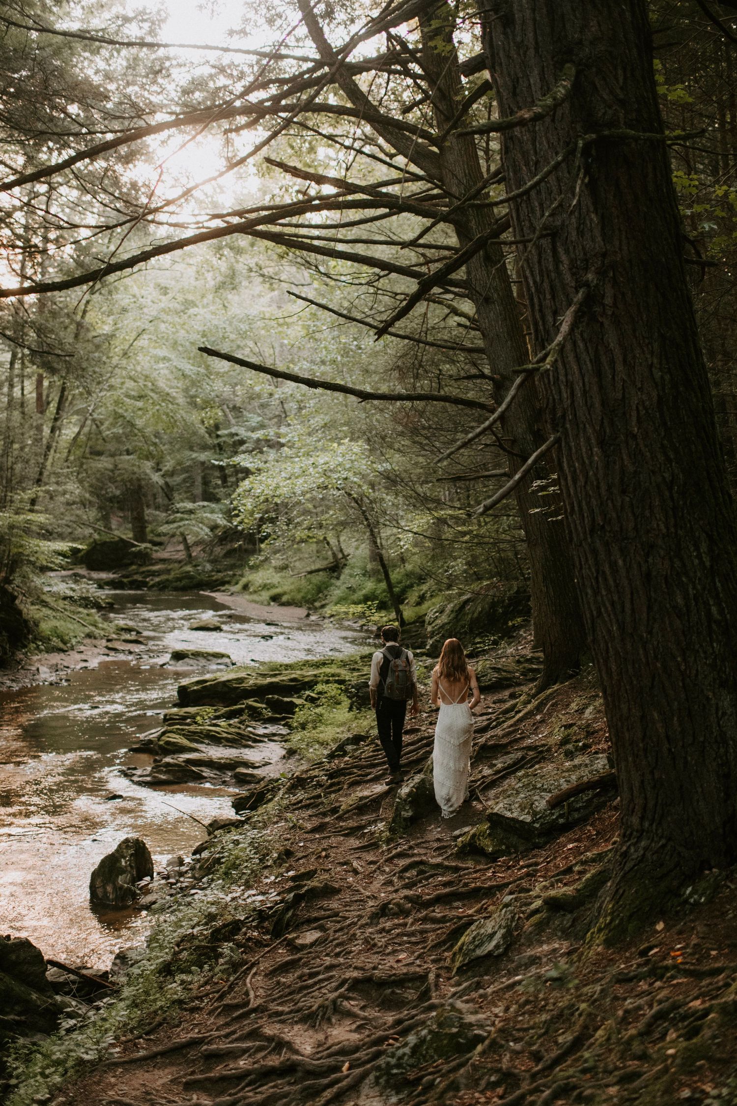 A scenic forest path follows along a rocky creek in misty woods.