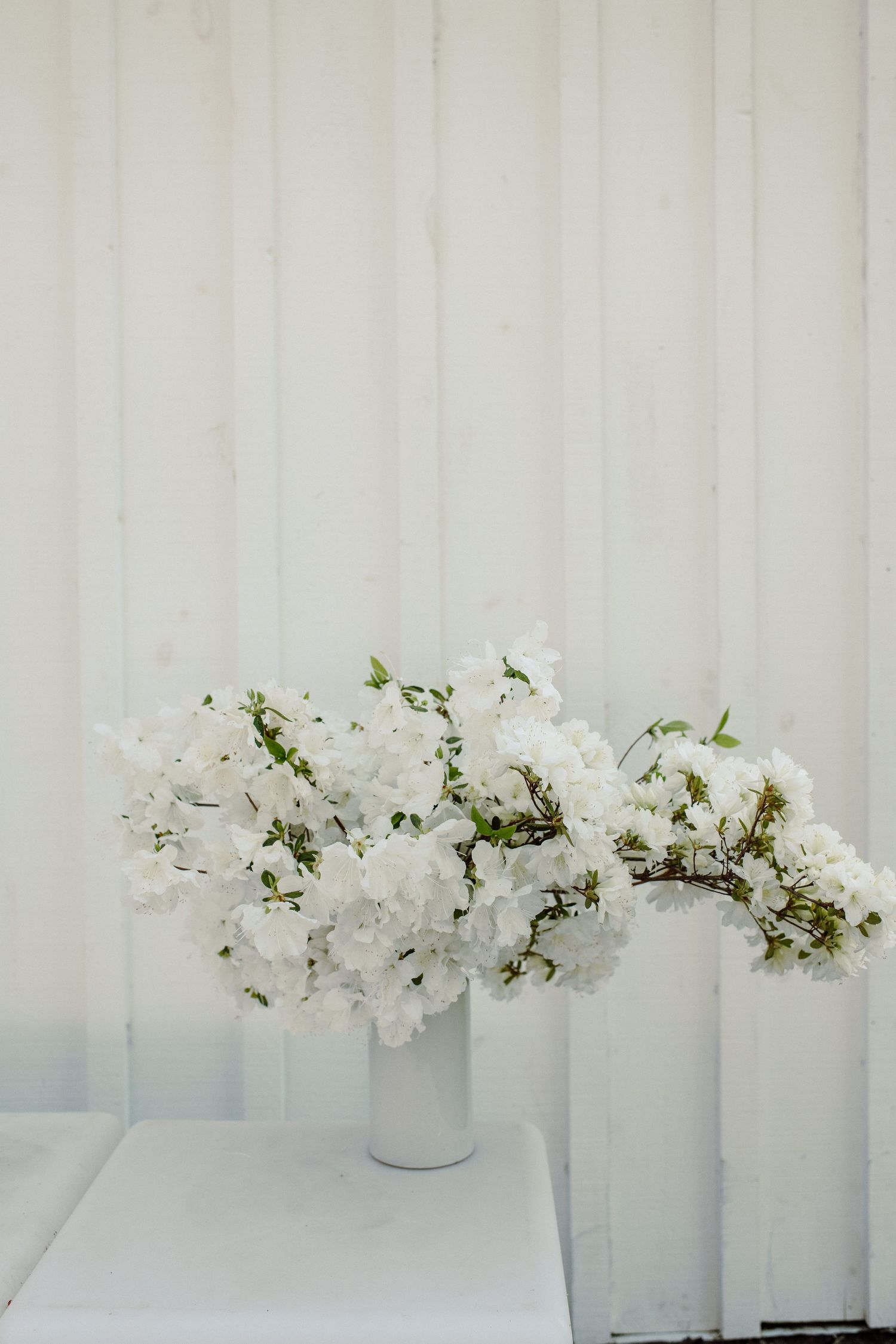 Elegant white floral arrangements in white vases against a white paneled wall.