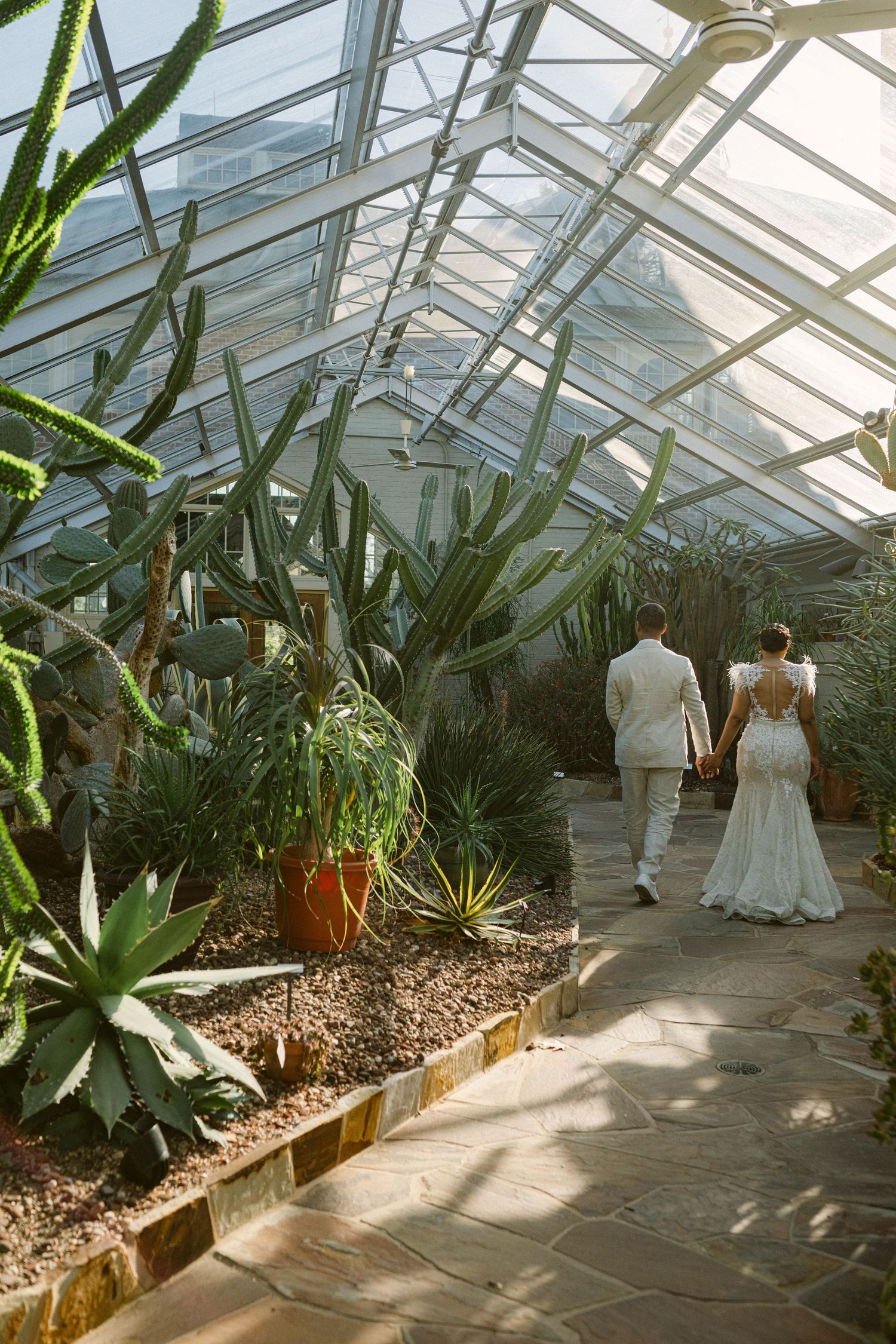 Bride and groom walking hand in hand through a sunlit botanical greenhouse filled with tall cacti and succulents.