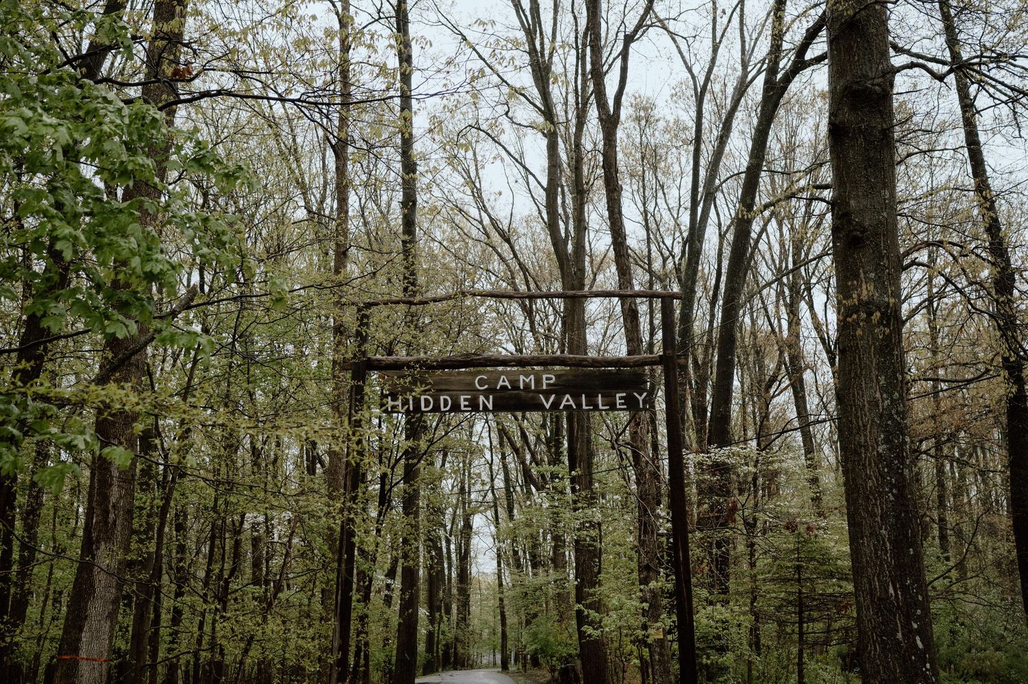 A wooden welcome sign frames a forest path leading to a wedding venue.
