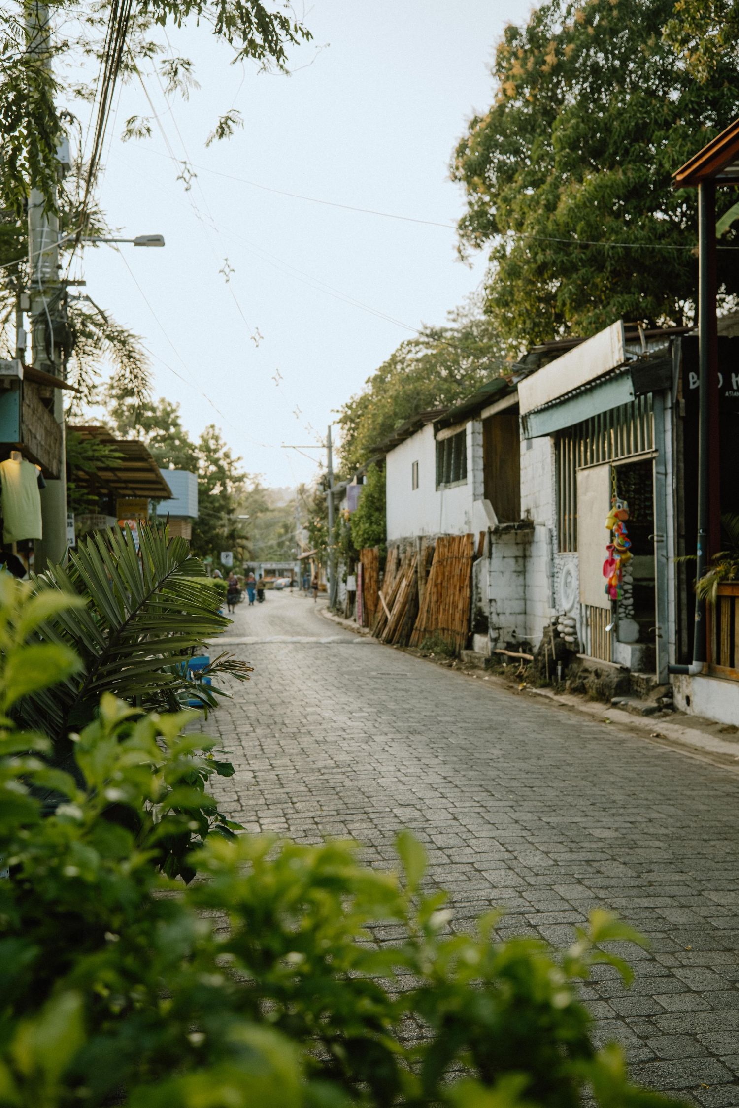 Quiet cobblestone street lined with buildings and tropical plants in a small town.