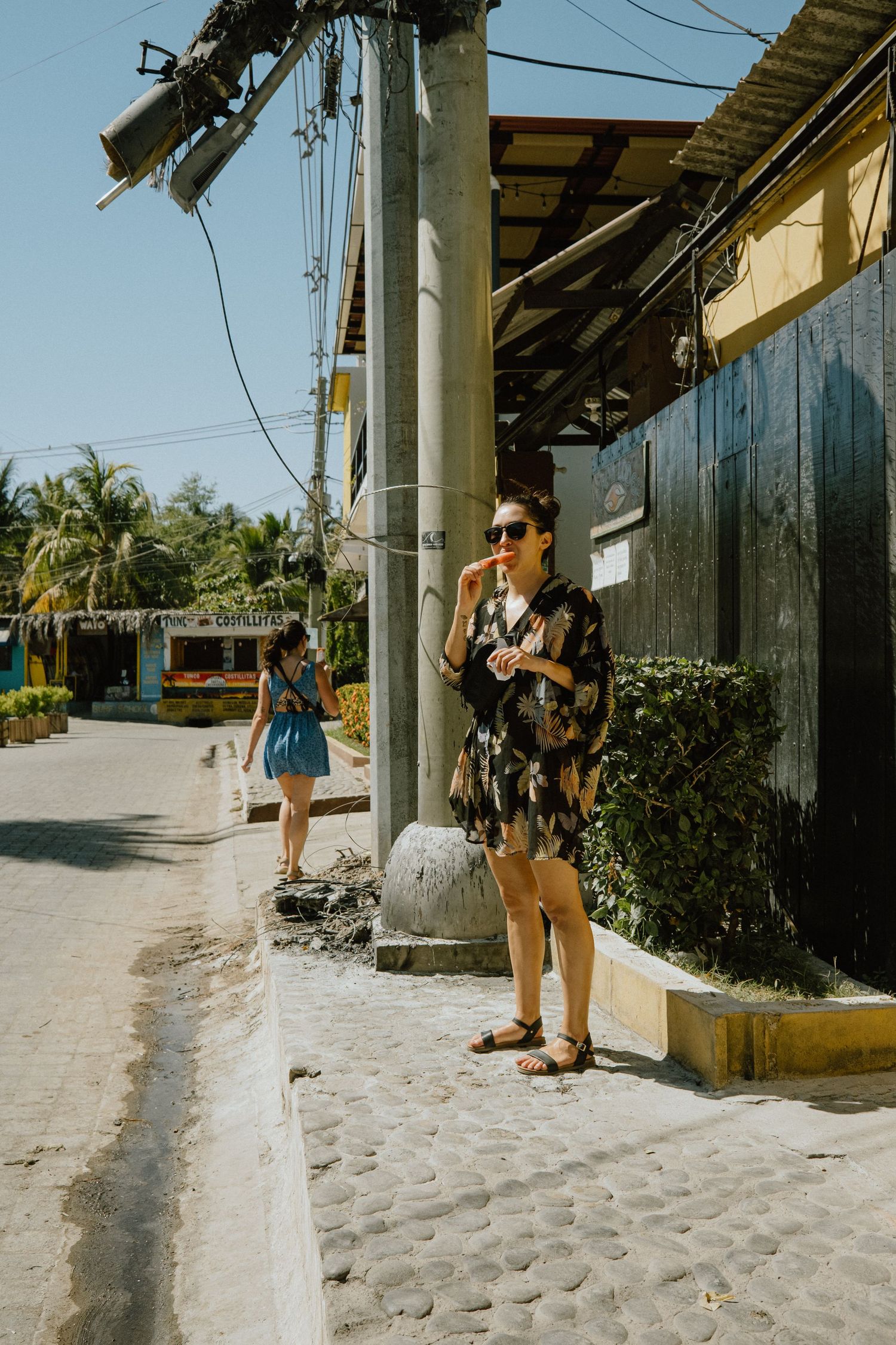 Street scene in a tropical location with palm trees and a cobblestone path.