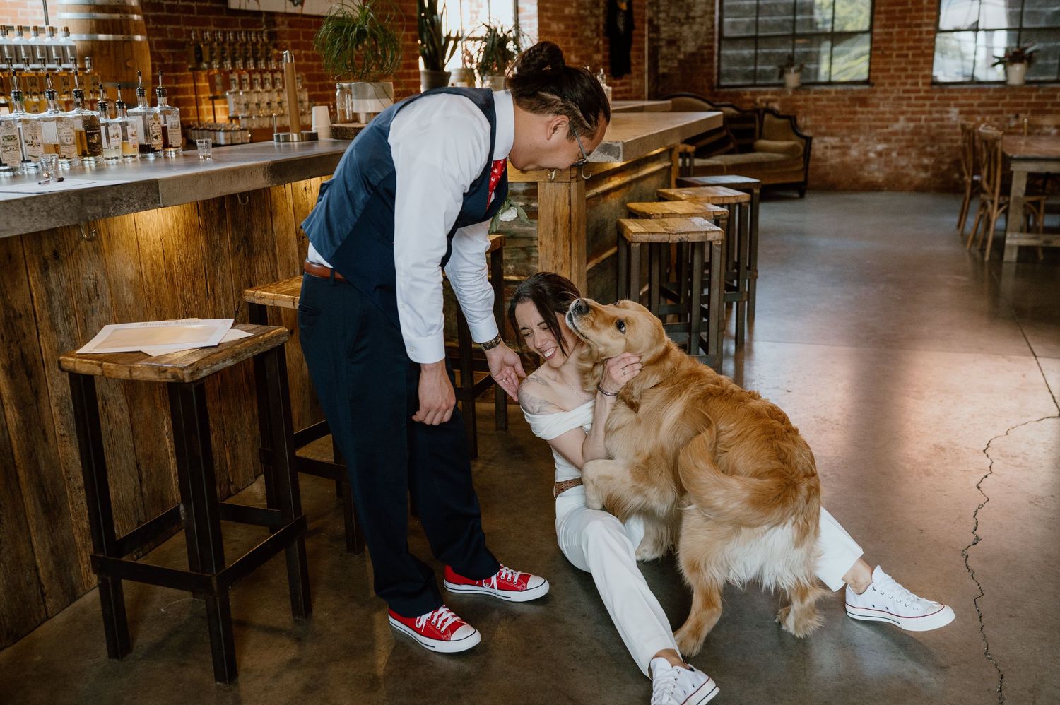 A dog and server interact at a rustic bar with wooden stools.