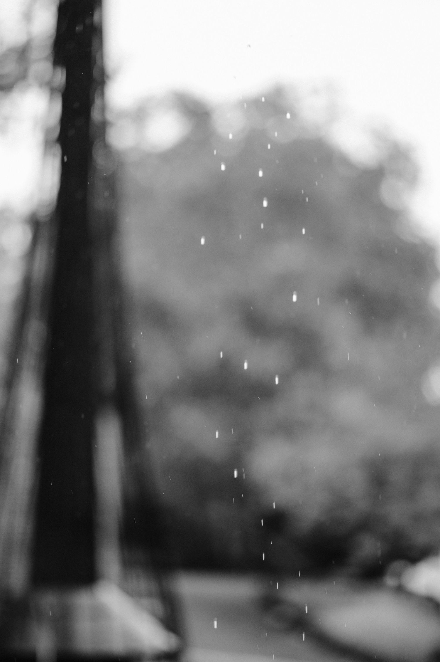 Black and white artistic photo of raindrops falling against a blurred natural background.