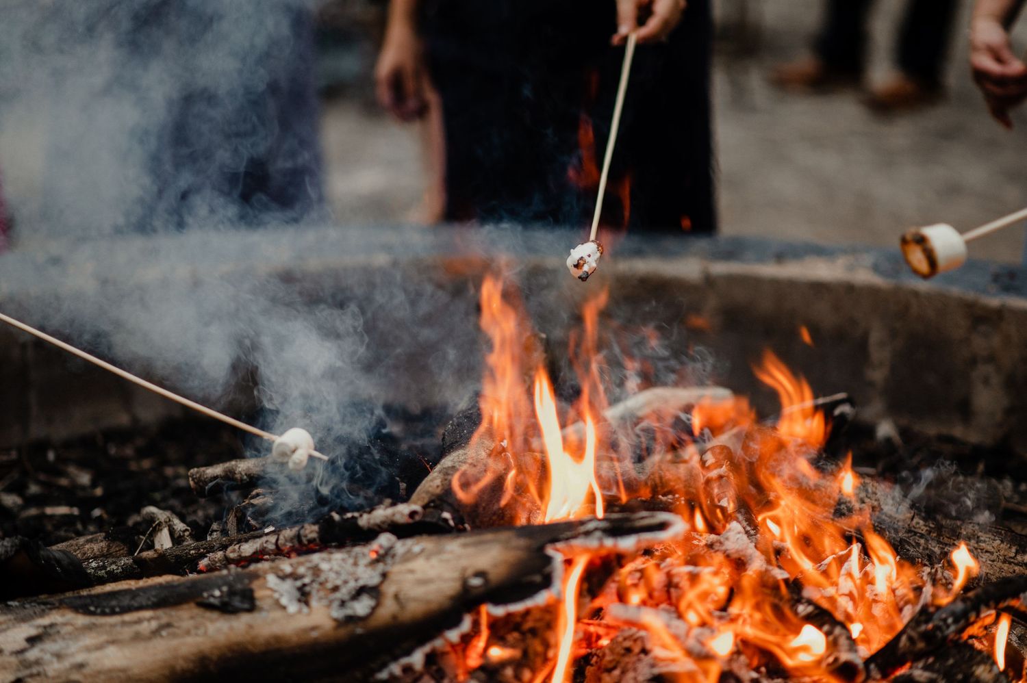 Close-up of marshmallows being roasted over a blazing campfire.