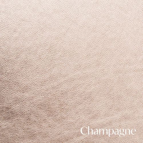 Champagne colored metallic texture with text overlay.