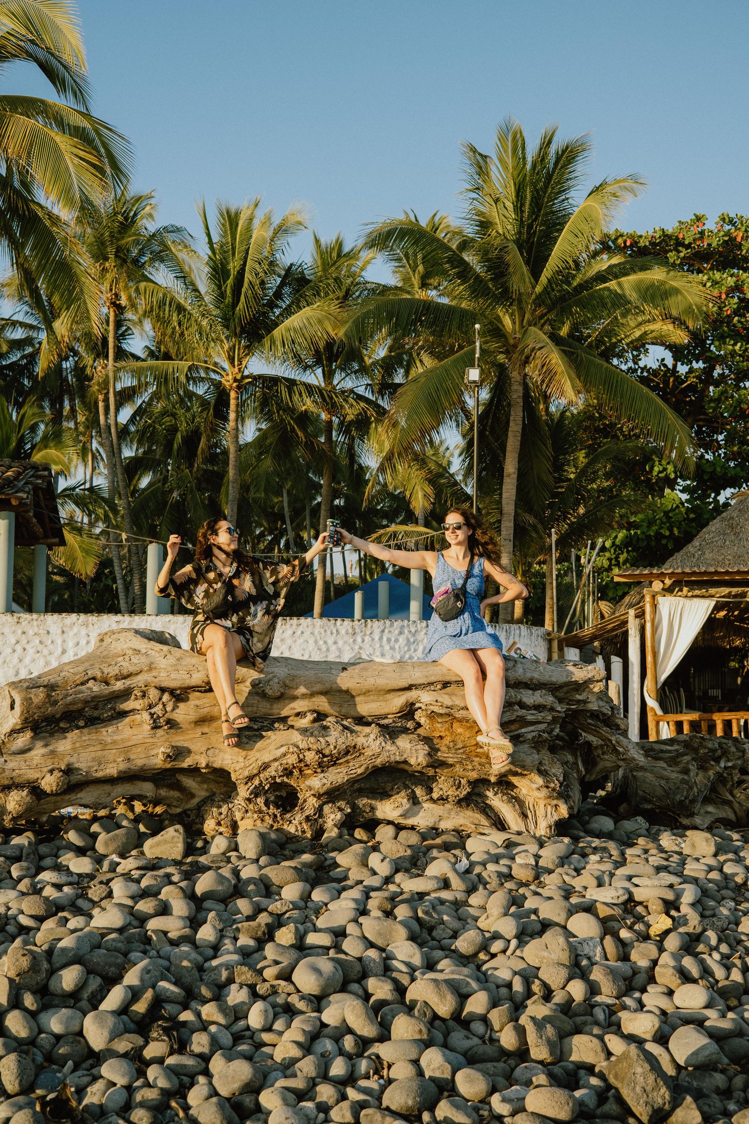 Two people sitting on rocky beach with palm trees and tropical scenery in background.