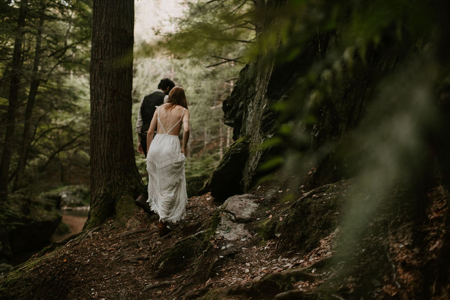 Two figures walk through a misty forest path surrounded by towering trees and dappled sunlight.
