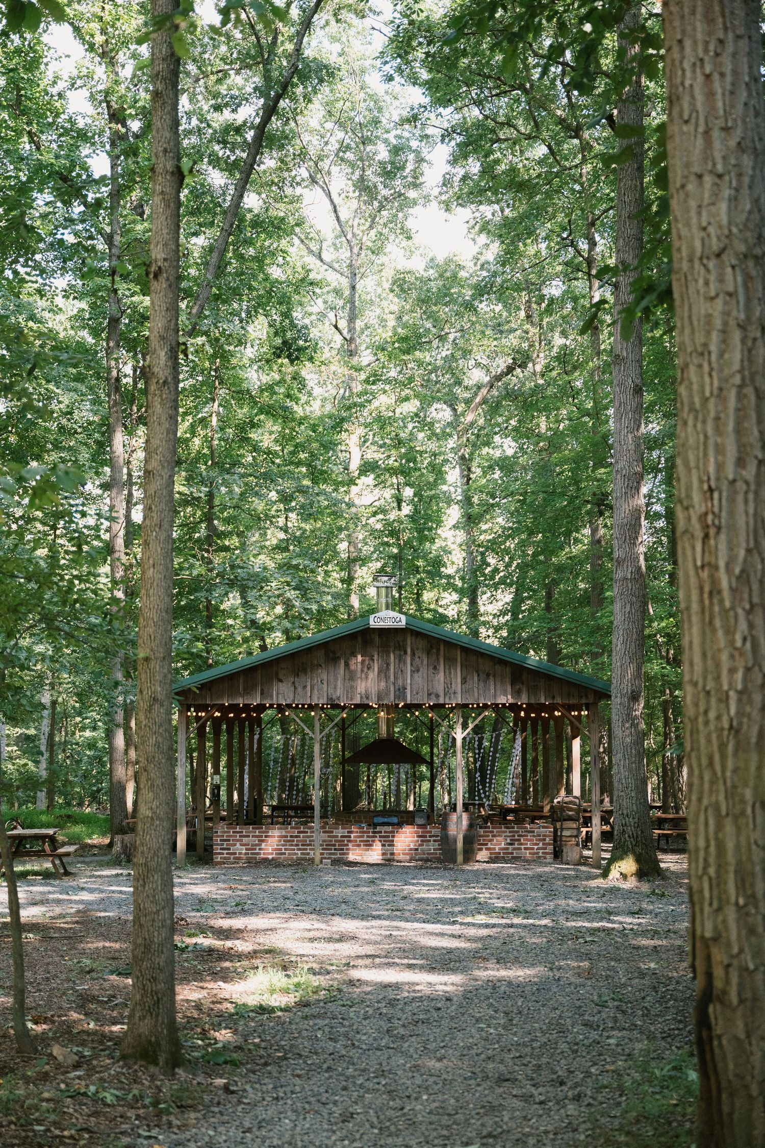 Rustic wooden pavilions nestled among tall trees in a forest setting.