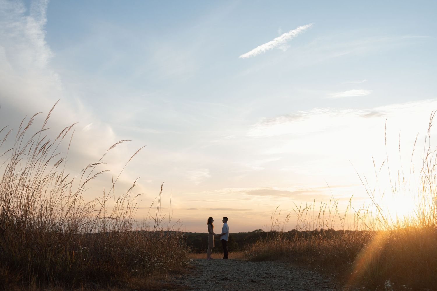 Dreamy landscape scene with tall grass and clouds during sunset.