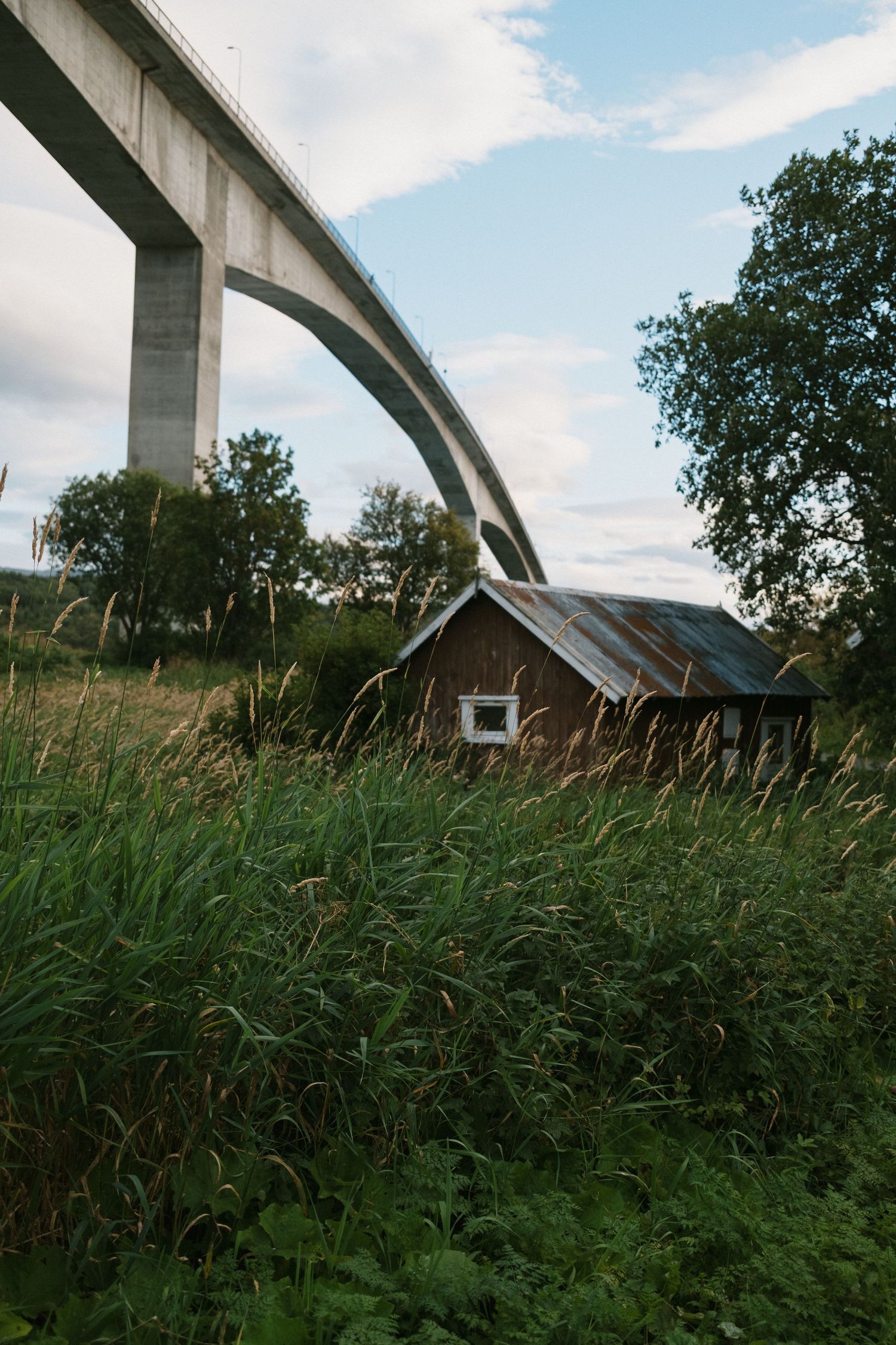Small wooden cabin nestled beneath a towering concrete bridge arch in tall grassy field.