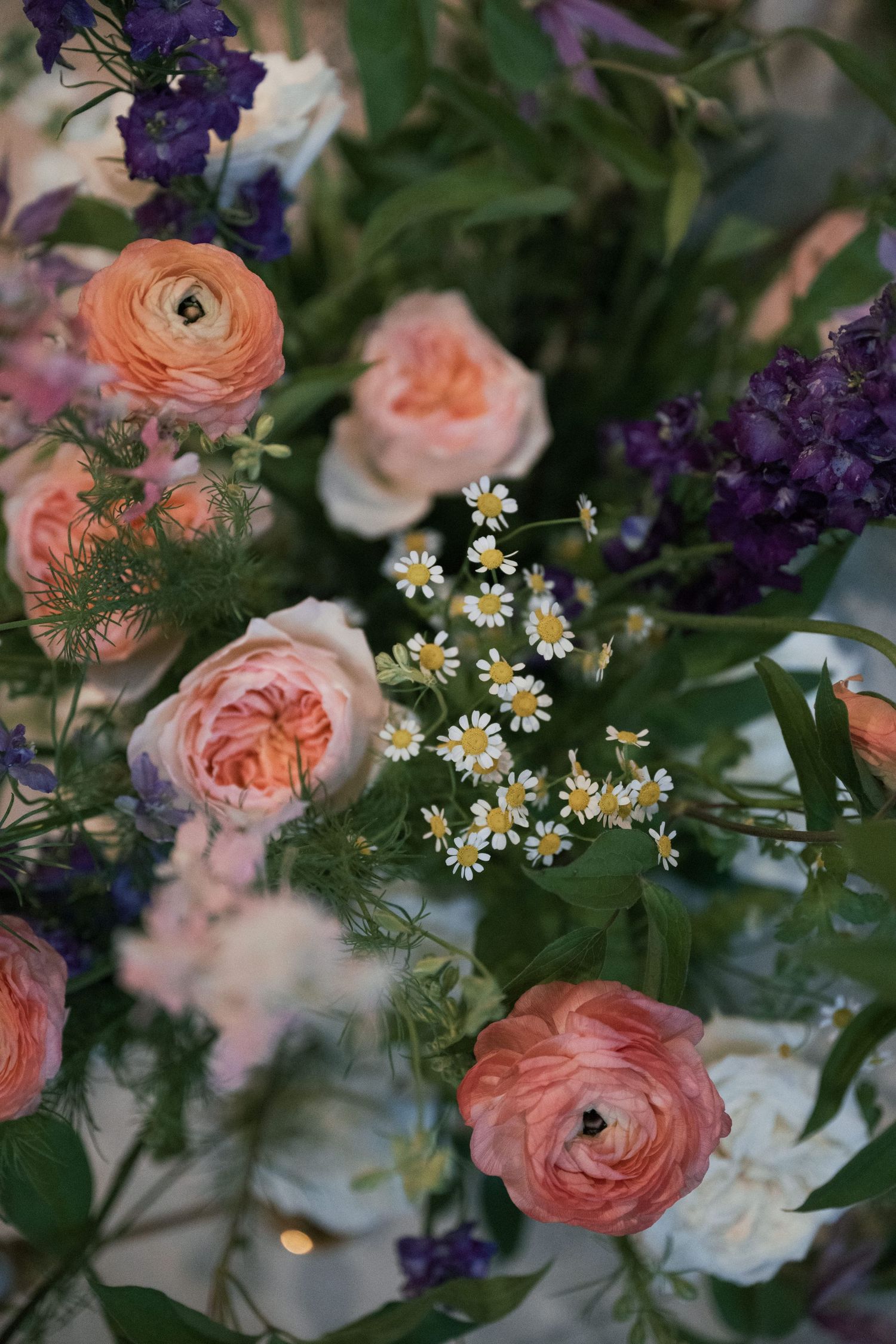 A detailed floral arrangement featuring coral ranunculus, purple delphinium, and small white daisies.